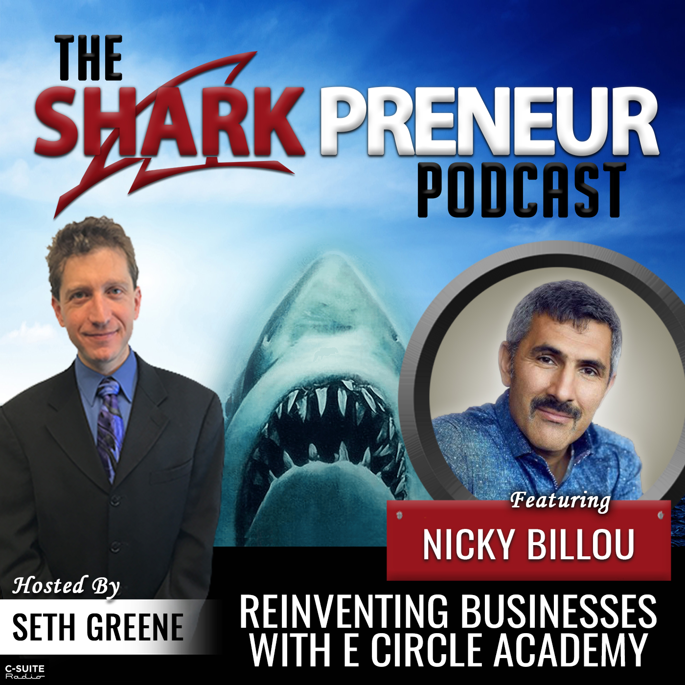 876: Reinventing businesses with eCircle Academy  with Nicky Billou