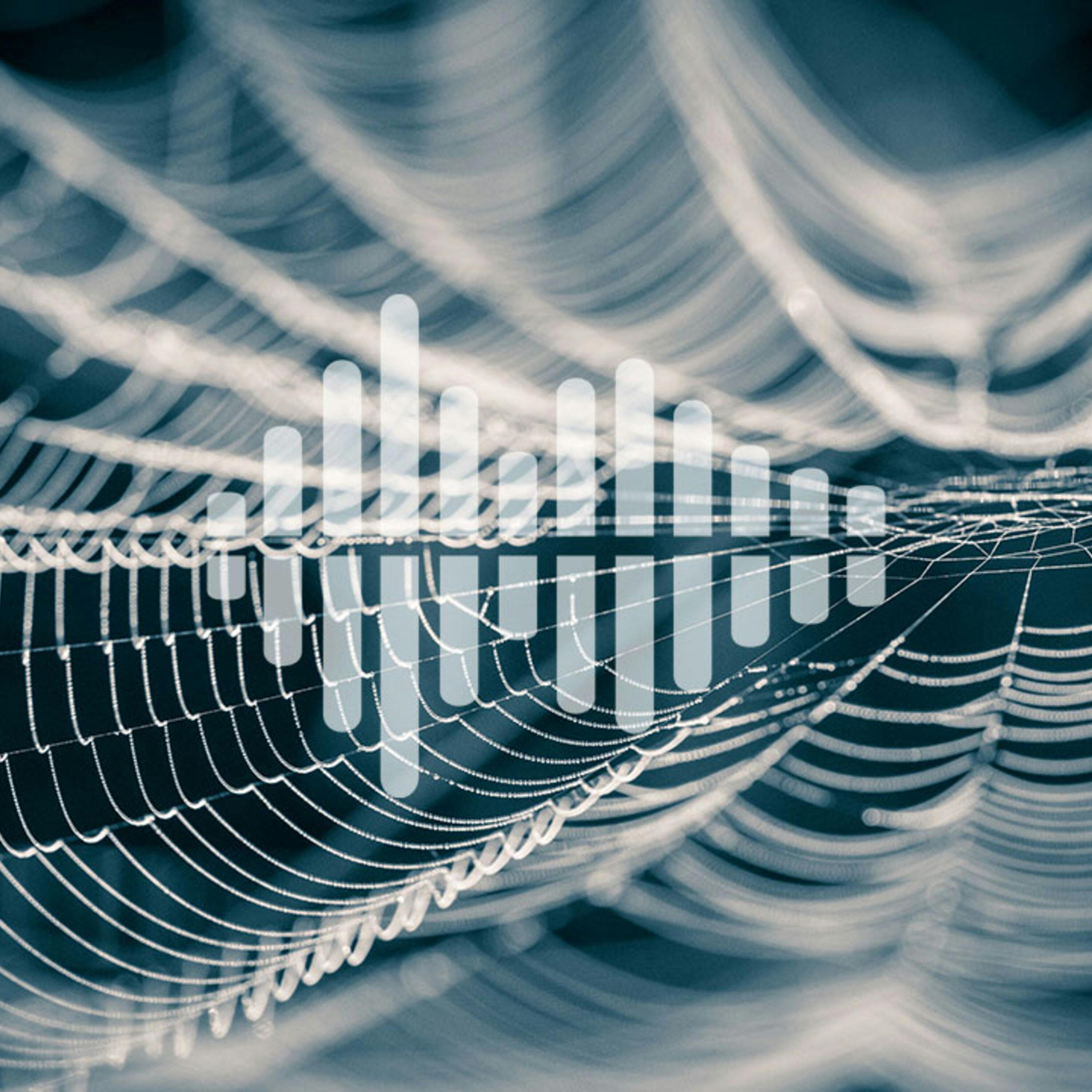 Climate change threatens supercomputing, and collecting spider silks