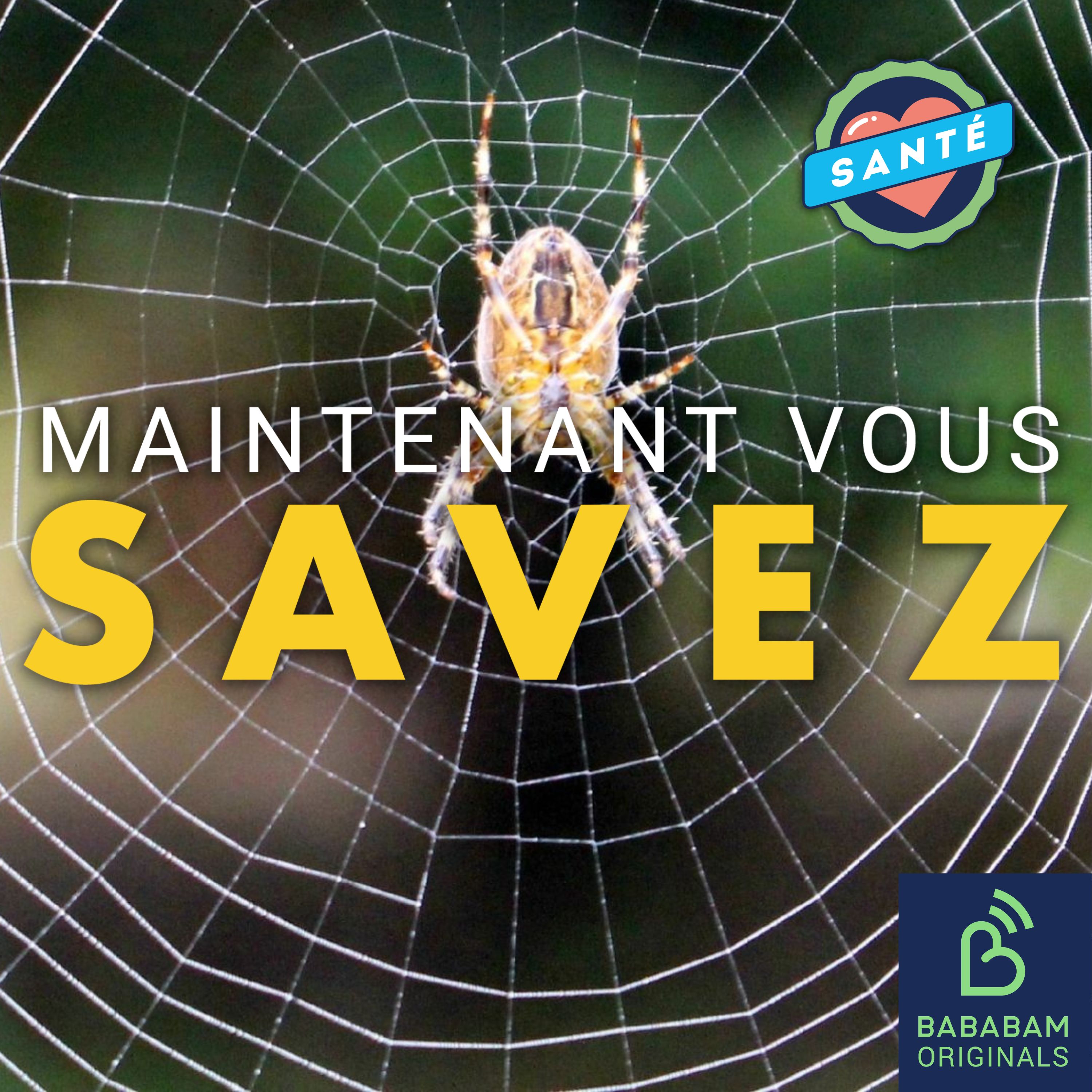 Peut-on soigner sa peur des araignées ?