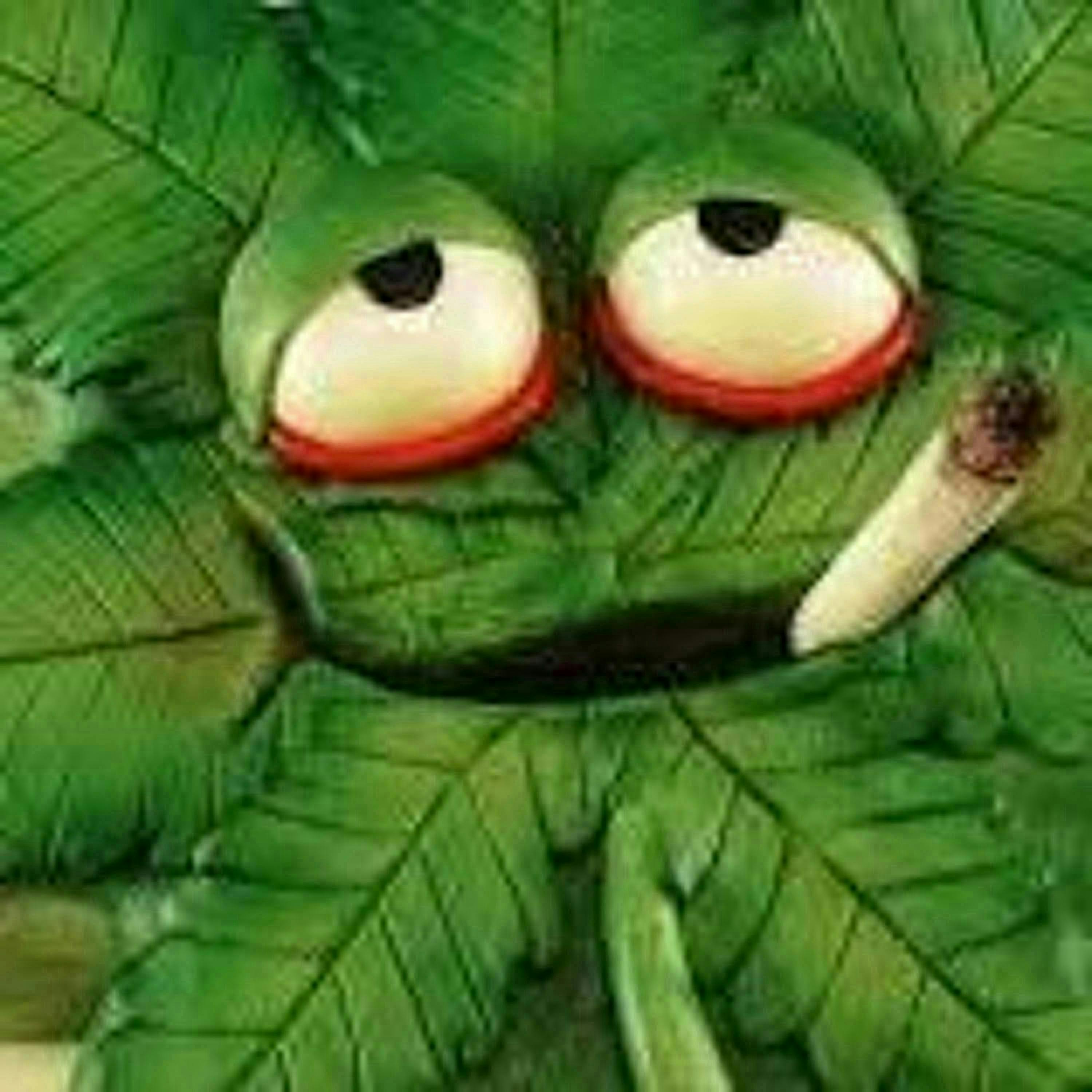 4/20 BLAZE IT SPECIAL ft. True Conspiracy Facts with Brad!