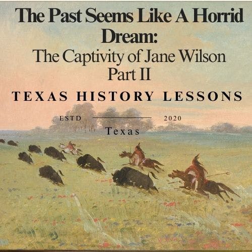 The Captivity of Jane Wilson Part 2 The Captivity of Jane Wilson Part 2