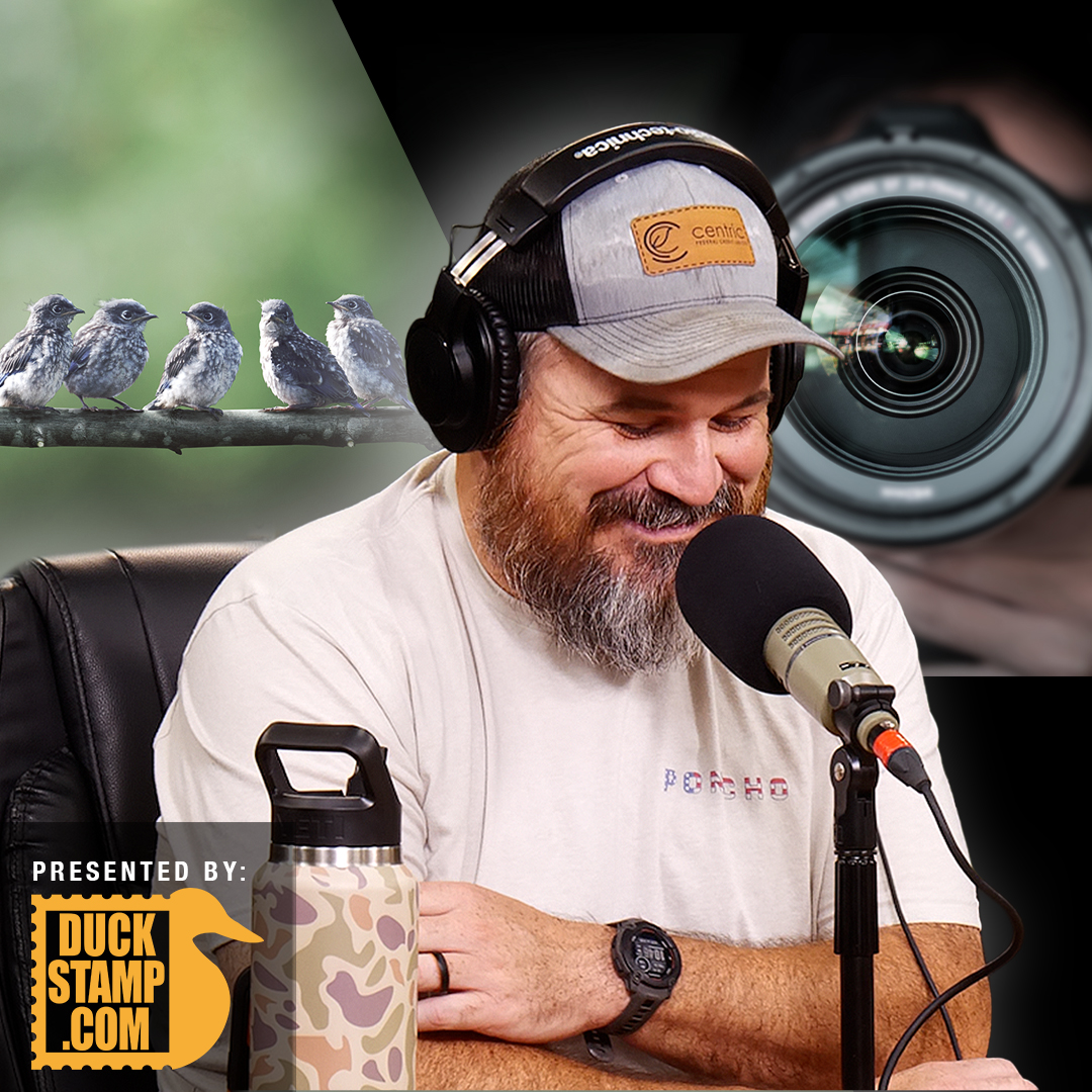 Duck Call Room podcast cover