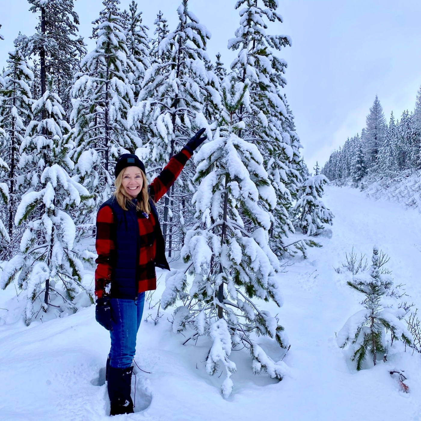 #63: O Christmas Tree