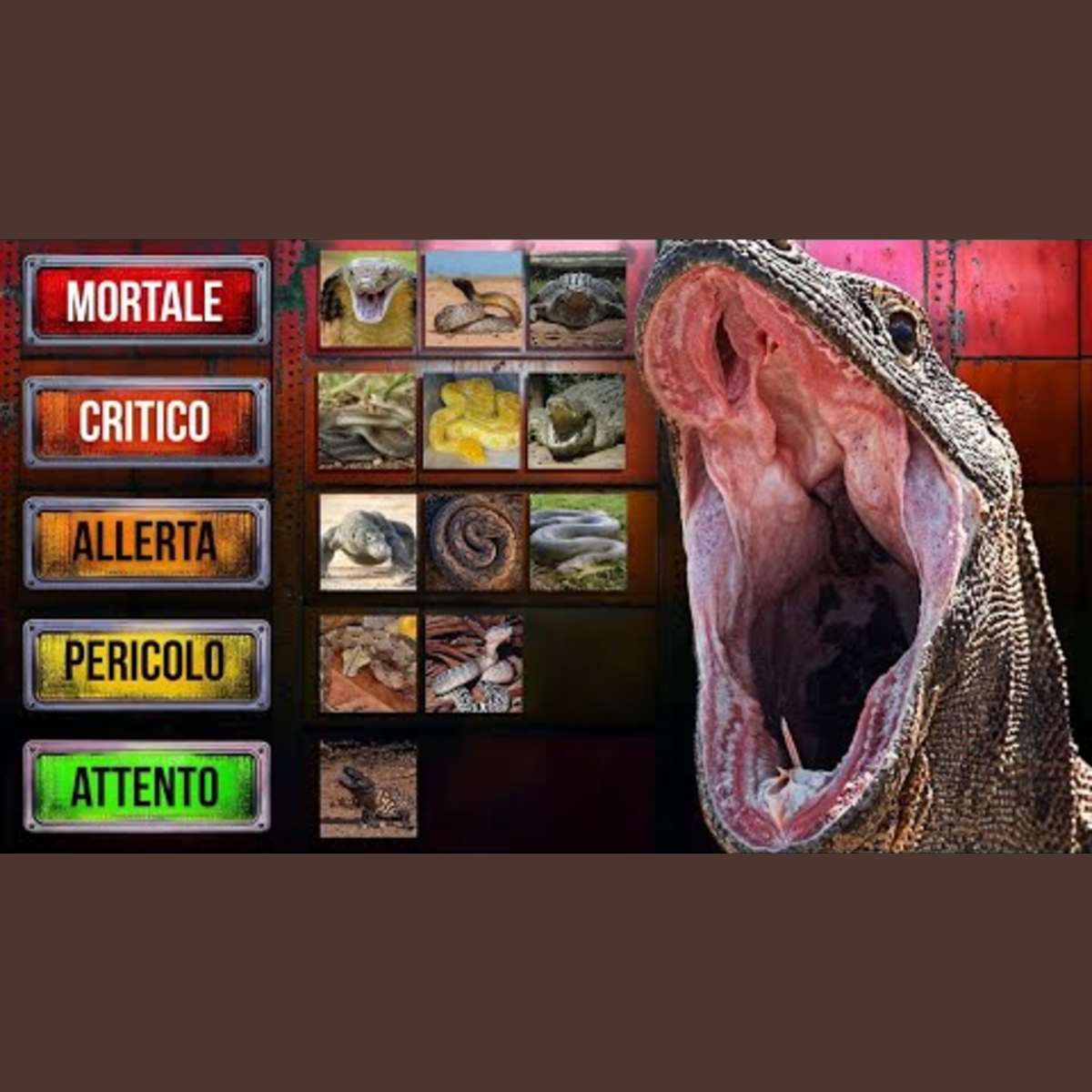 I rettili più letali (Classifica)