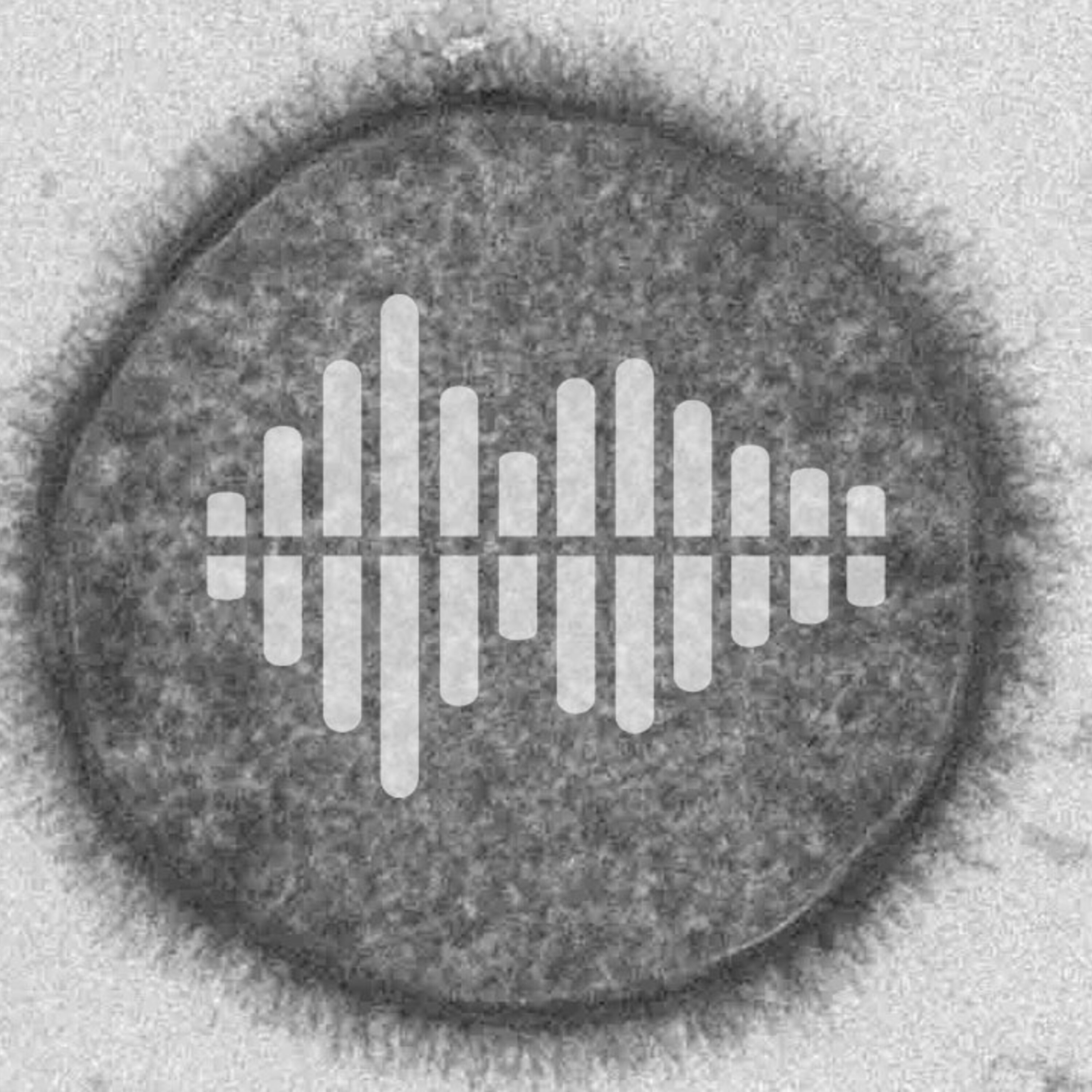 Linking violence in Myanmar to fossil amber research, and waking up bacterial spores