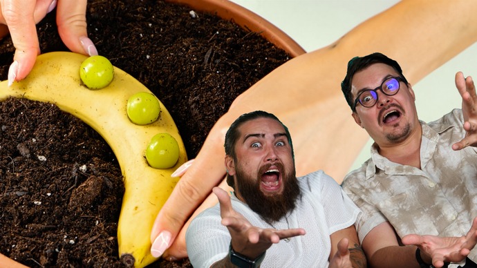 These Guys REACT to Smart ways to grow your own plants from leftover food episode artwork
