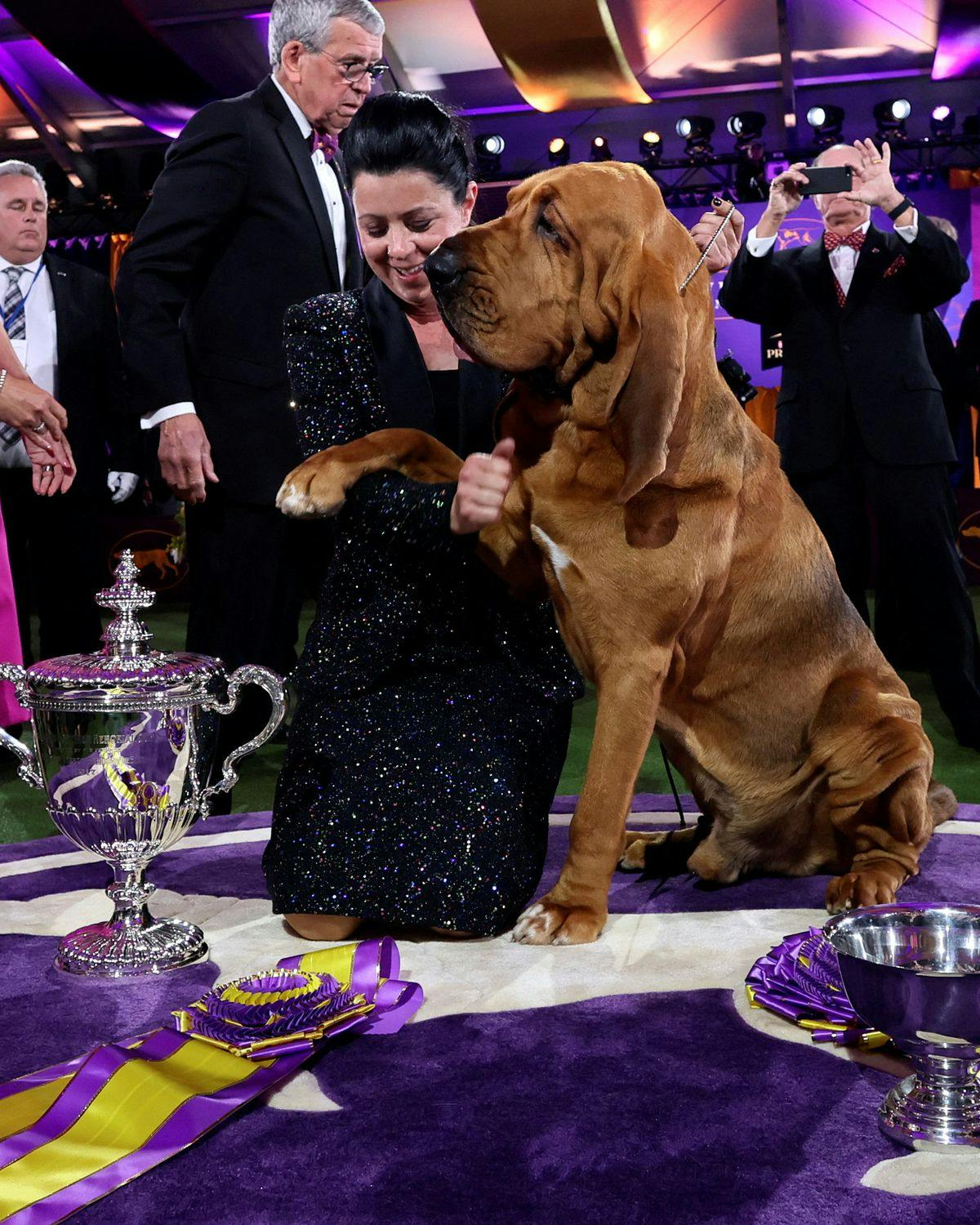 The Winner of the Westminster Dog Kennel Show Image