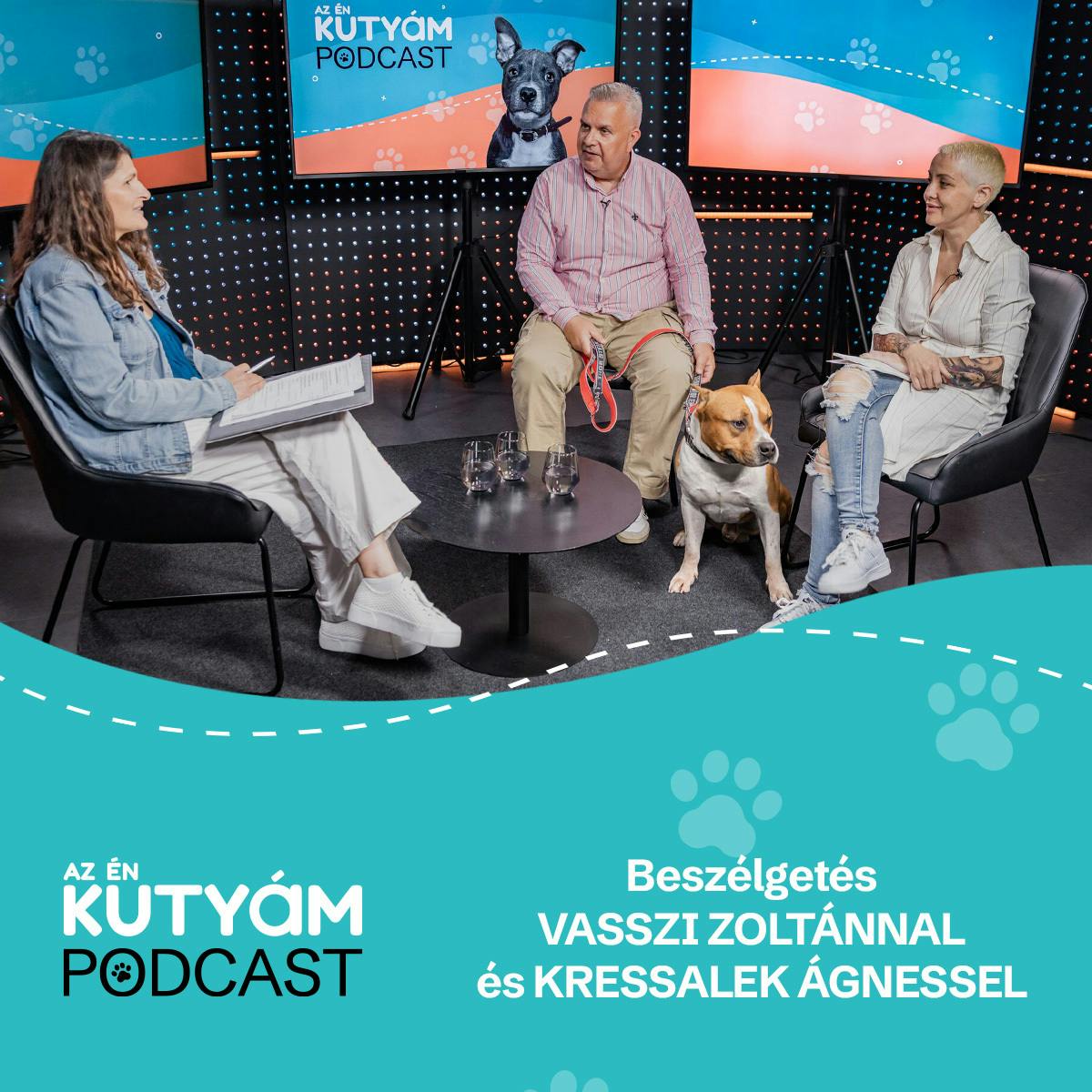 Ők azok, akiket életük végéig kontroll alatt kell tartani: szakértőket kérdezünk a pitbullokról Ők azok, akiket életük végéig kontroll alatt kell tartani: szakértőket kérdezünk a pitbullokról