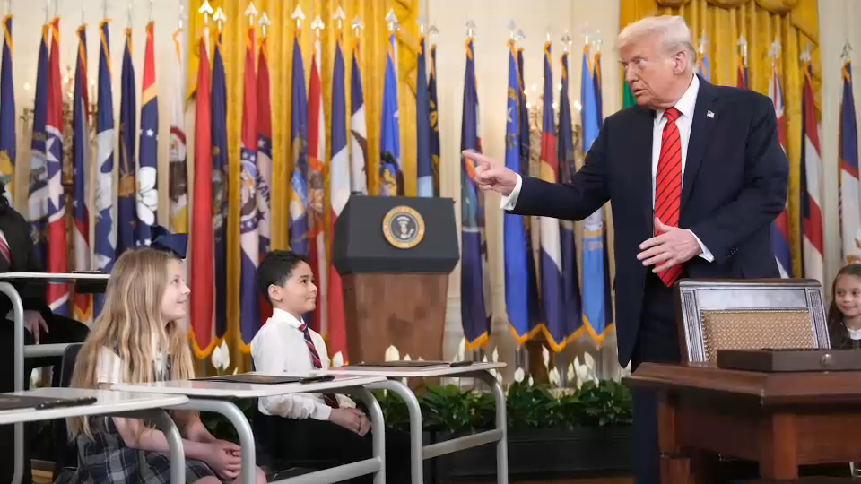 Desmantelan Departamento de Educación