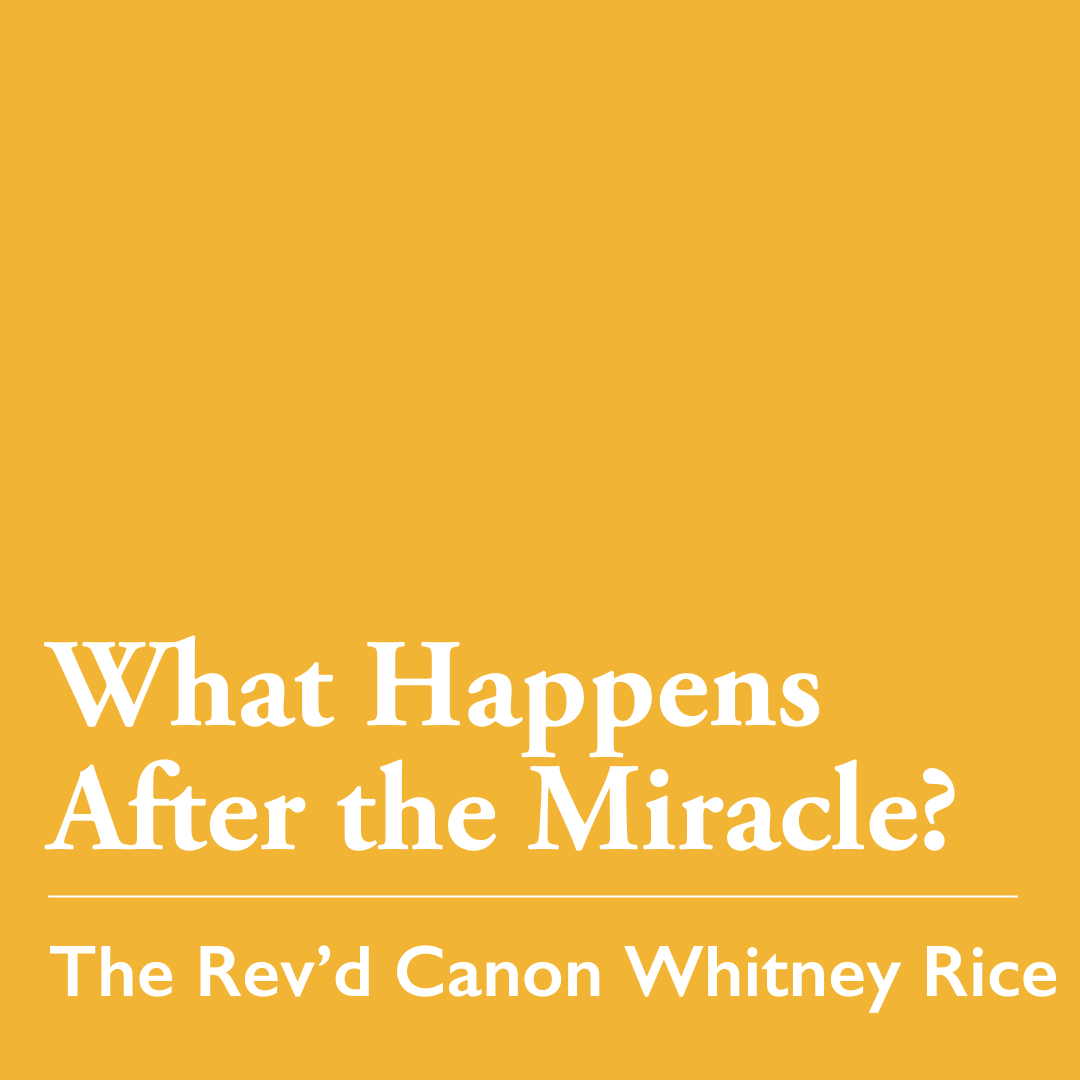 Christmas 1: What Happens After the Miracle? – Dec. 28, 2025