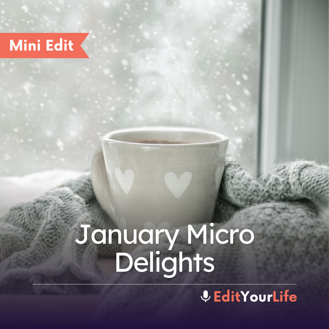 Mini Edit: January Micro Delights episode artwork