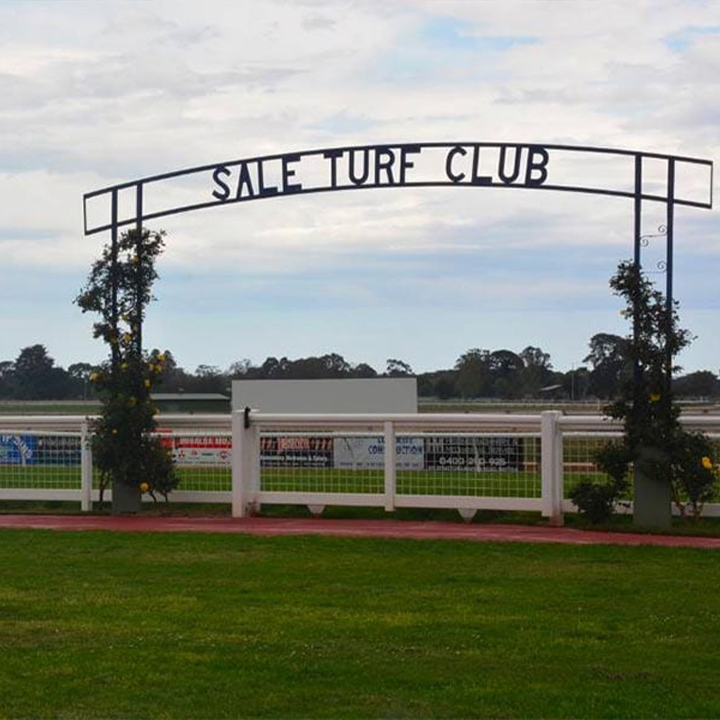 Sale Turf Club Brad Evans chats to Andrew Kuuse episode artwork