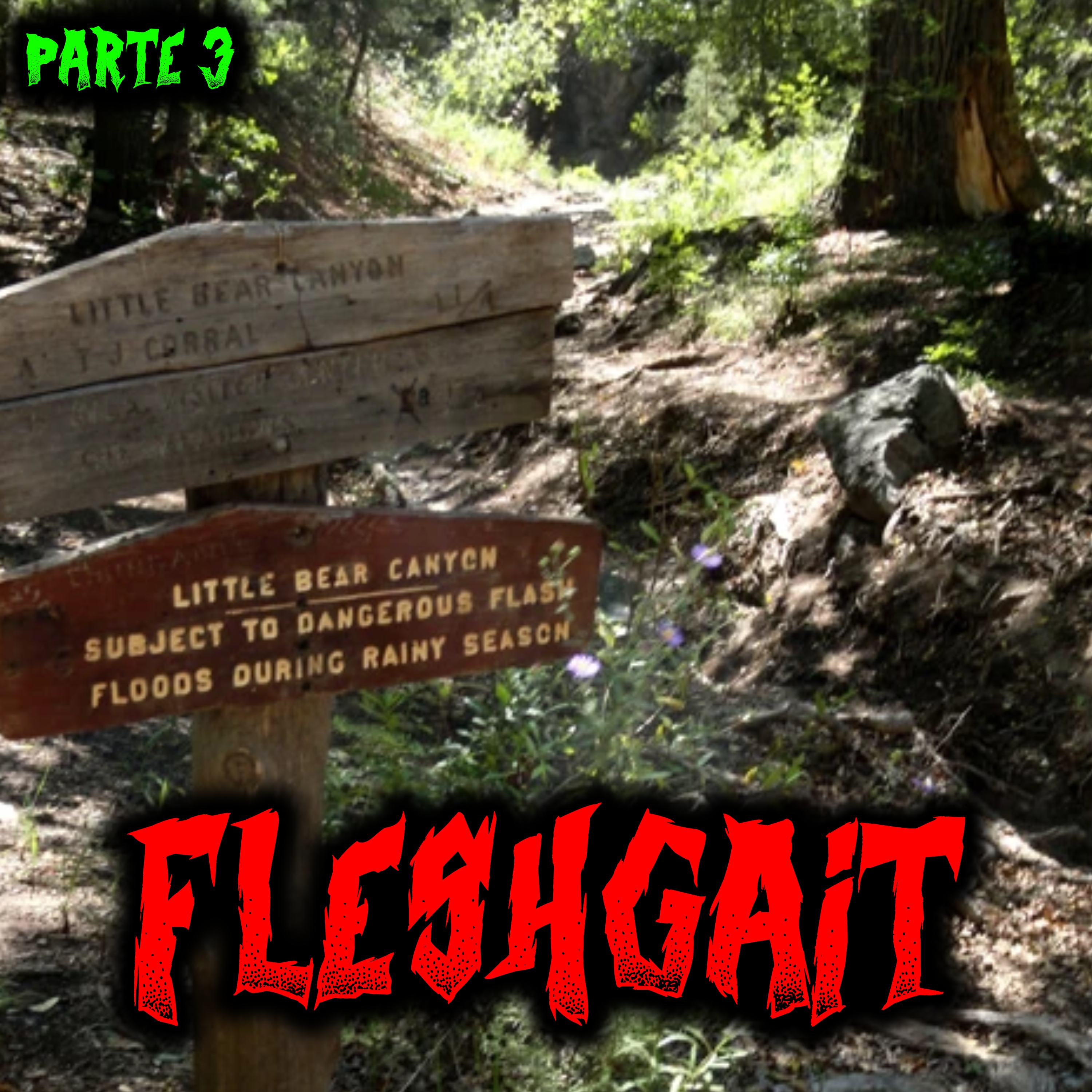 Fleshgait - Parte 3 - Una delle Creepypasta più spaventose di sempre episode artwork
