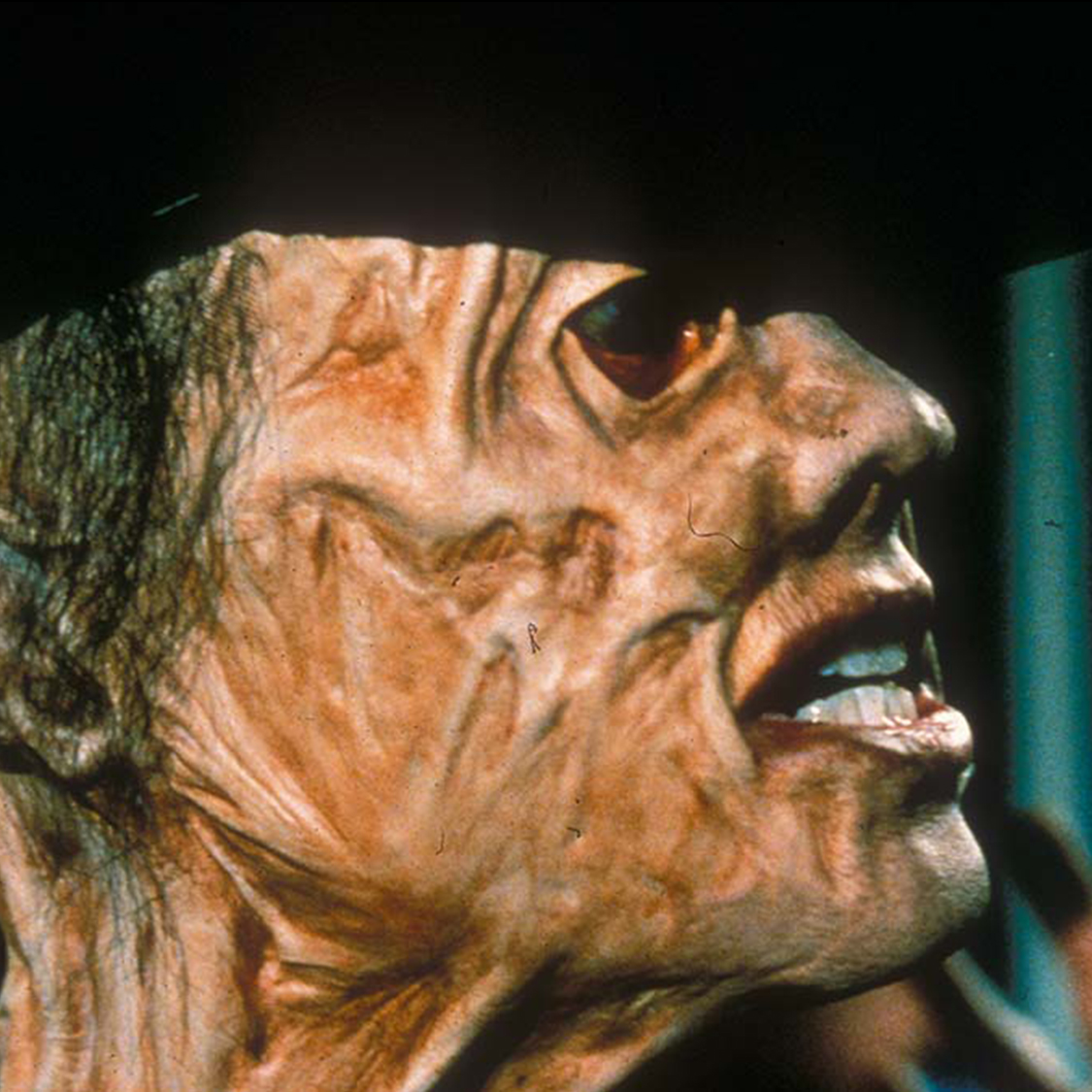 Phantom of the Mall (1989)