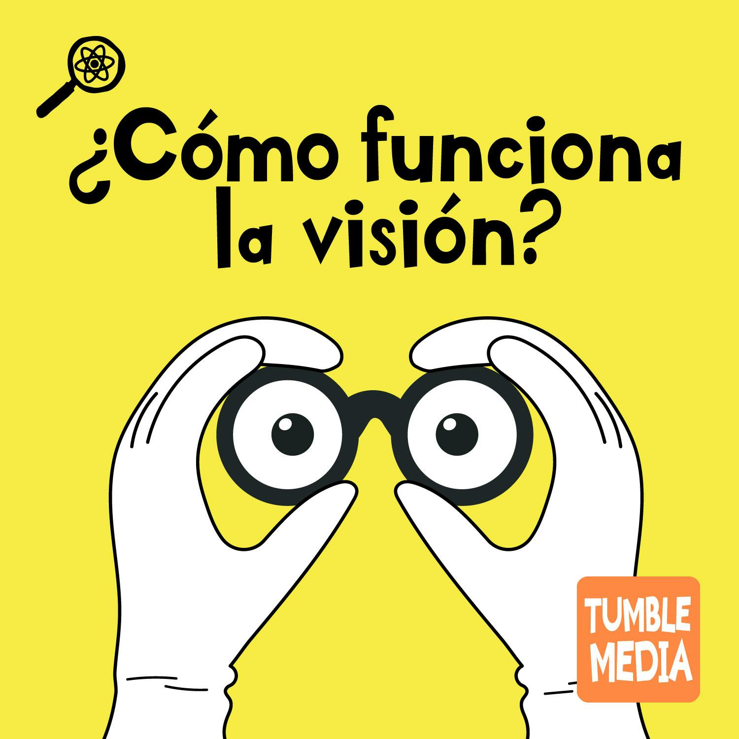 ¿Cómo funciona la visión? ¿Cómo funciona la visión?