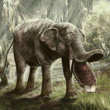 East Coast Office Hours 35: History's Worst Megafauna episode artwork