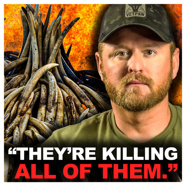 Julian Dorey Podcast