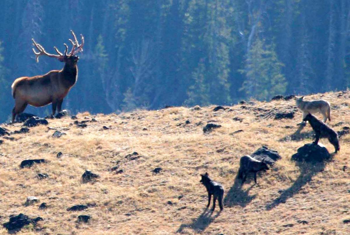 FullScale Outdoors Podcast