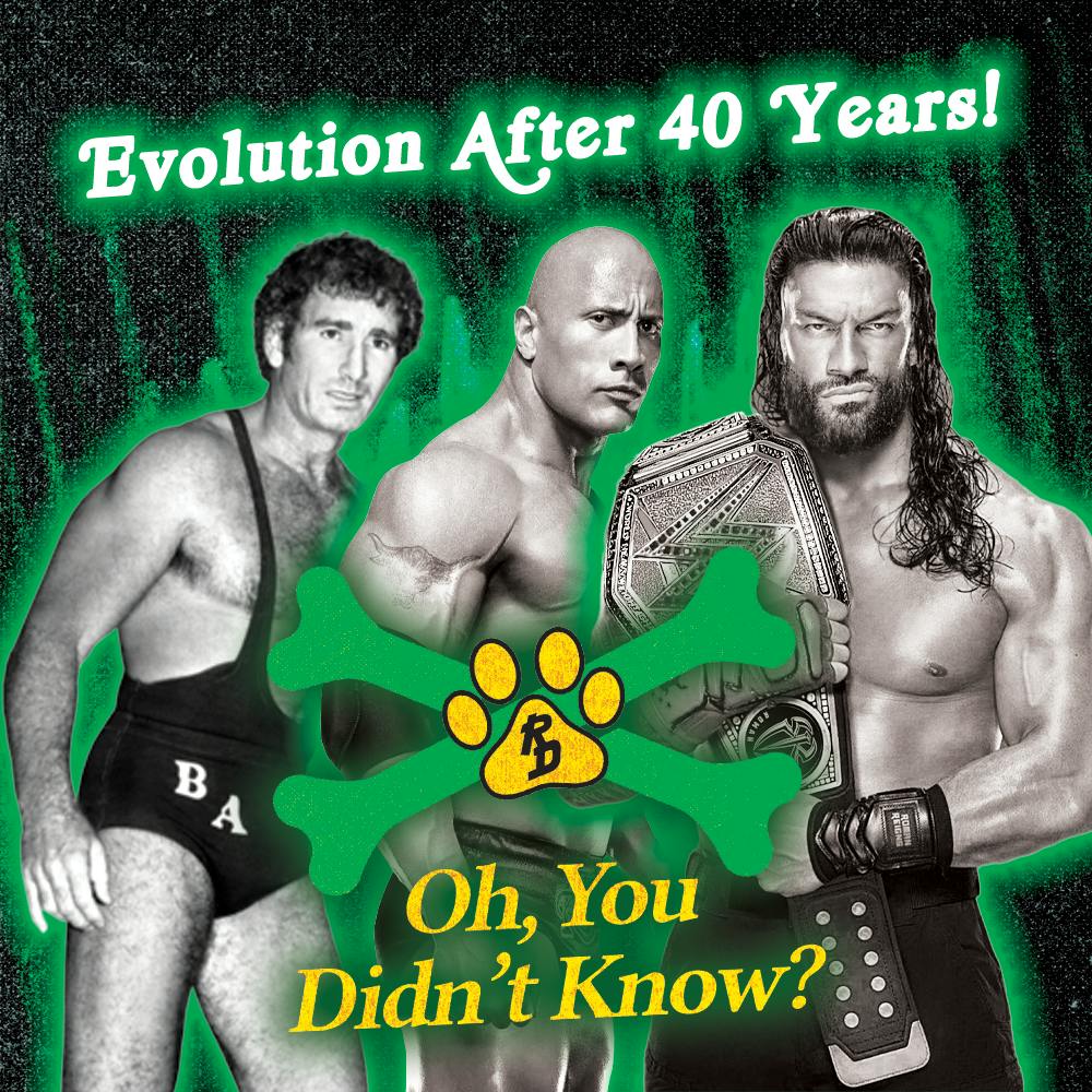 Evolution Of Wrestling Over 40 Years!