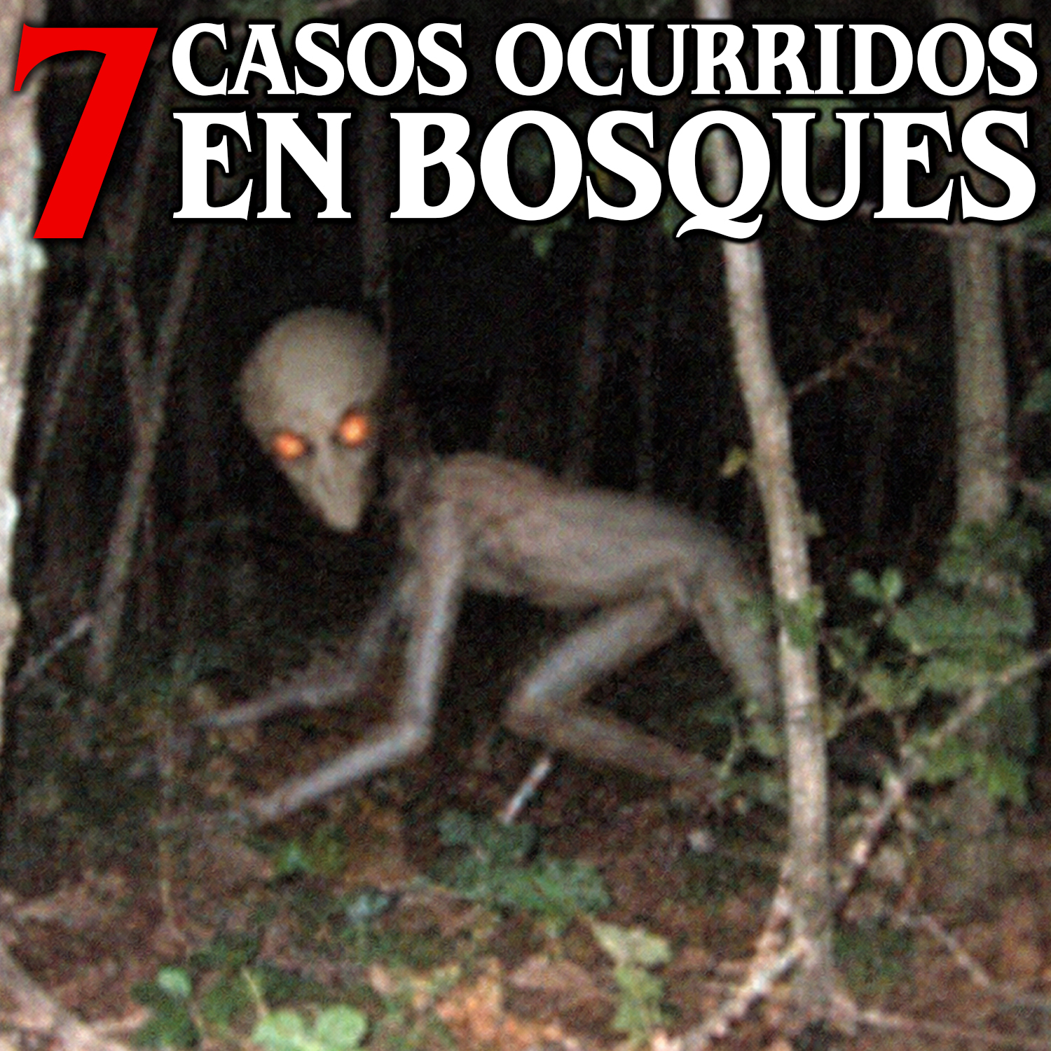 7 Casos perturbadores ocurridos en bosques episode artwork
