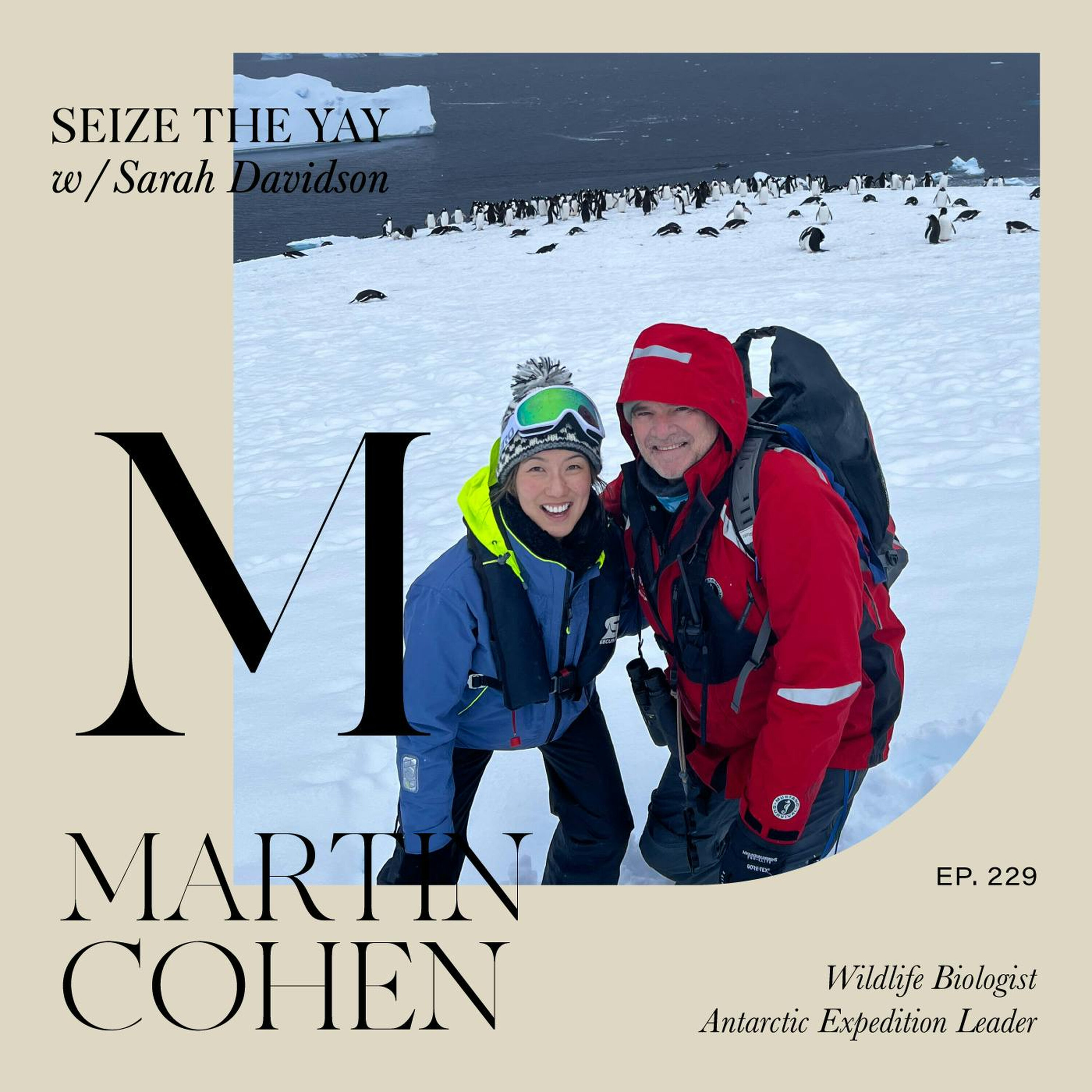 Martin Cohen // Polar play, passion projects and PENGUINOLOGY episode artwork