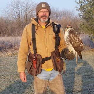 068: Hawking and Falconry