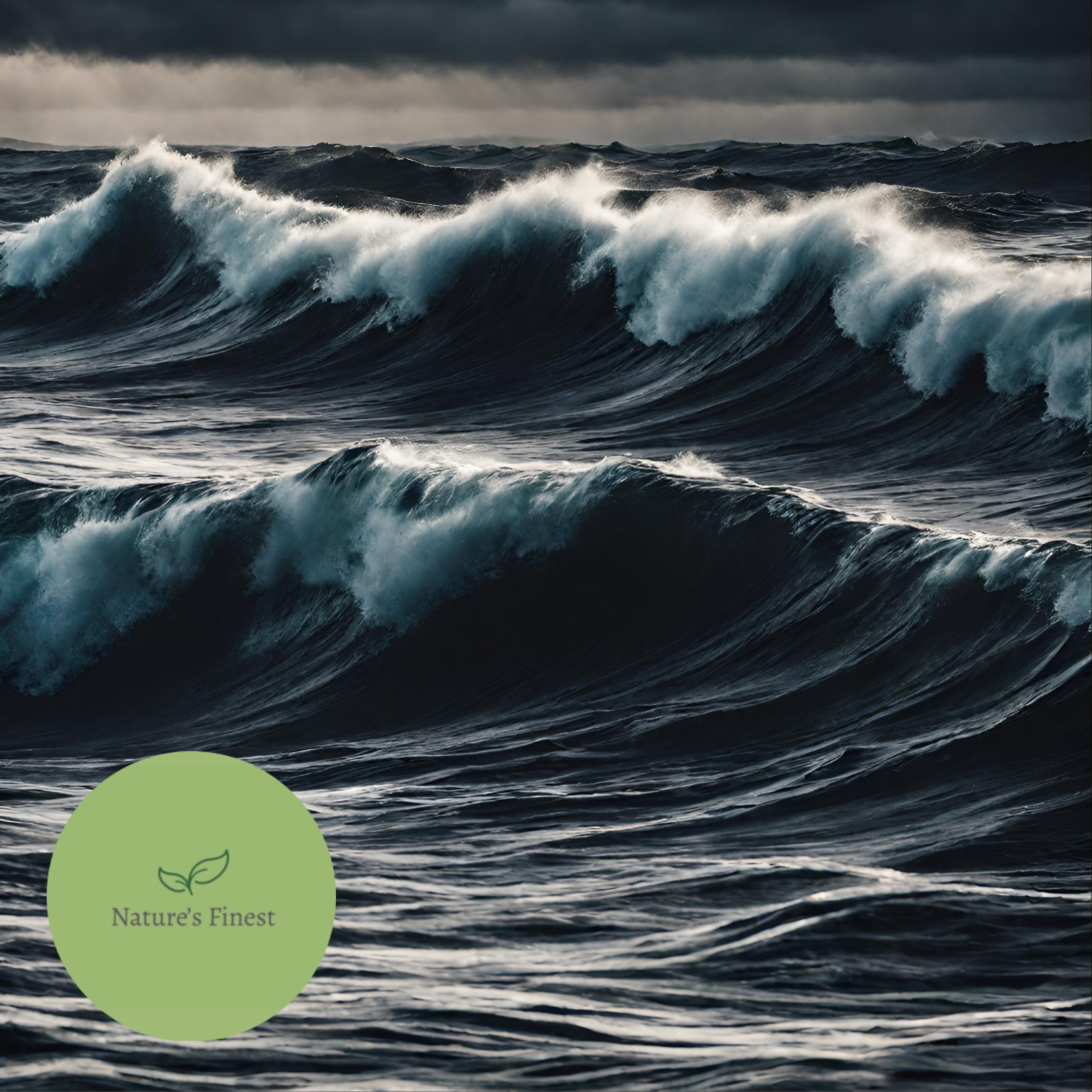 Natural Sleep Sounds 8 Hours | Ocean Waves Noise for Improved Sleep