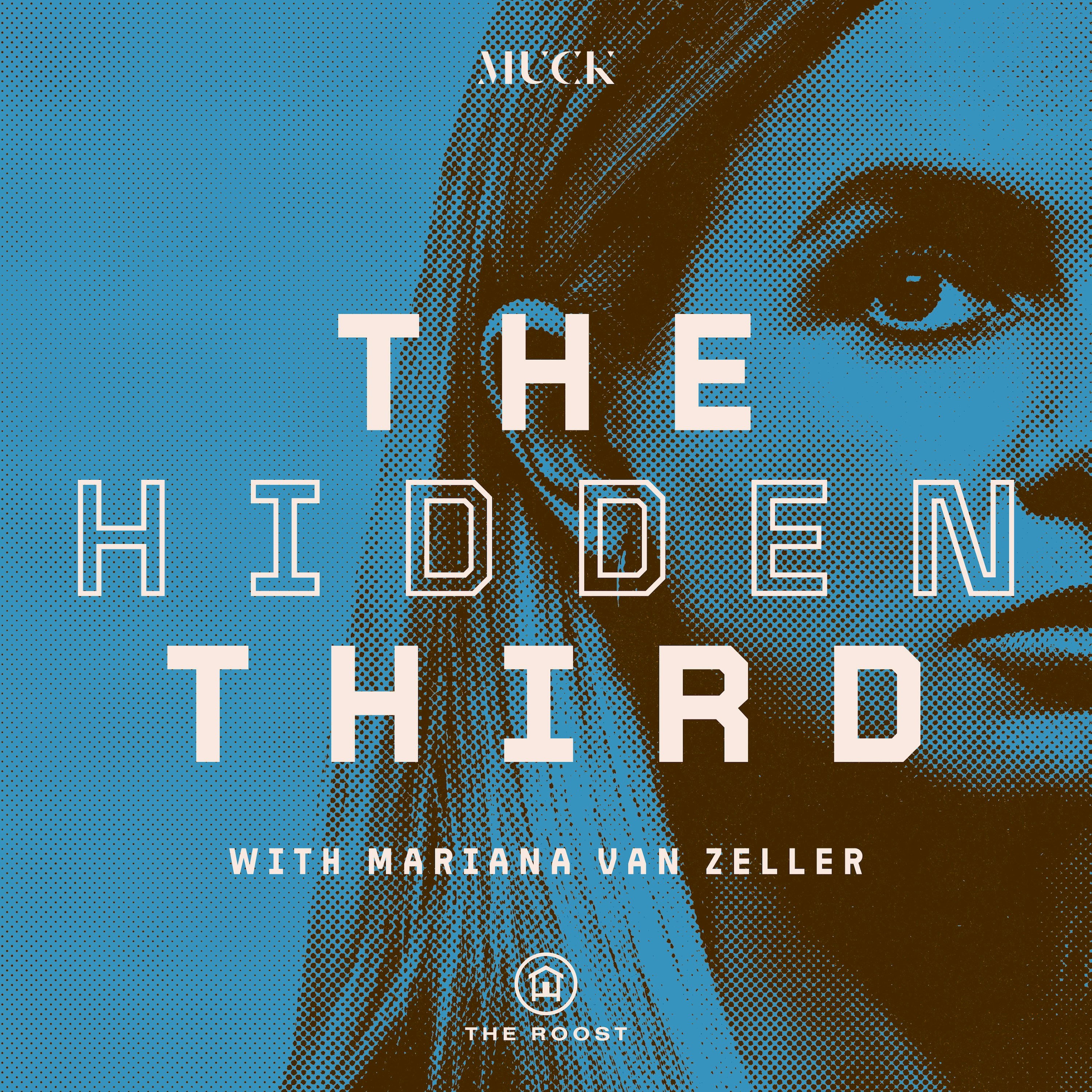 The Hidden Third