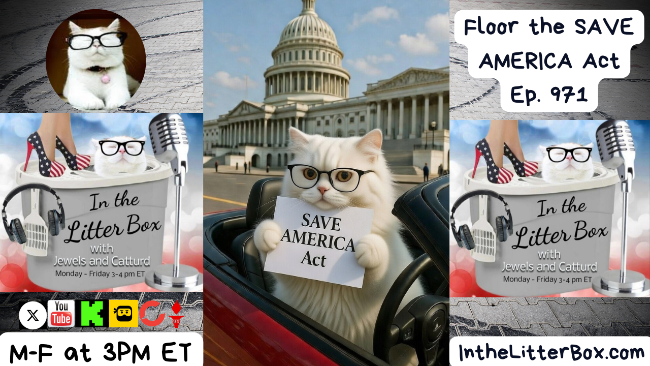 Floor the SAVE AMERICA Act | In the Litter Box w/ Jewels Jones & Catturd – Ep. 971 – 2/17/2026