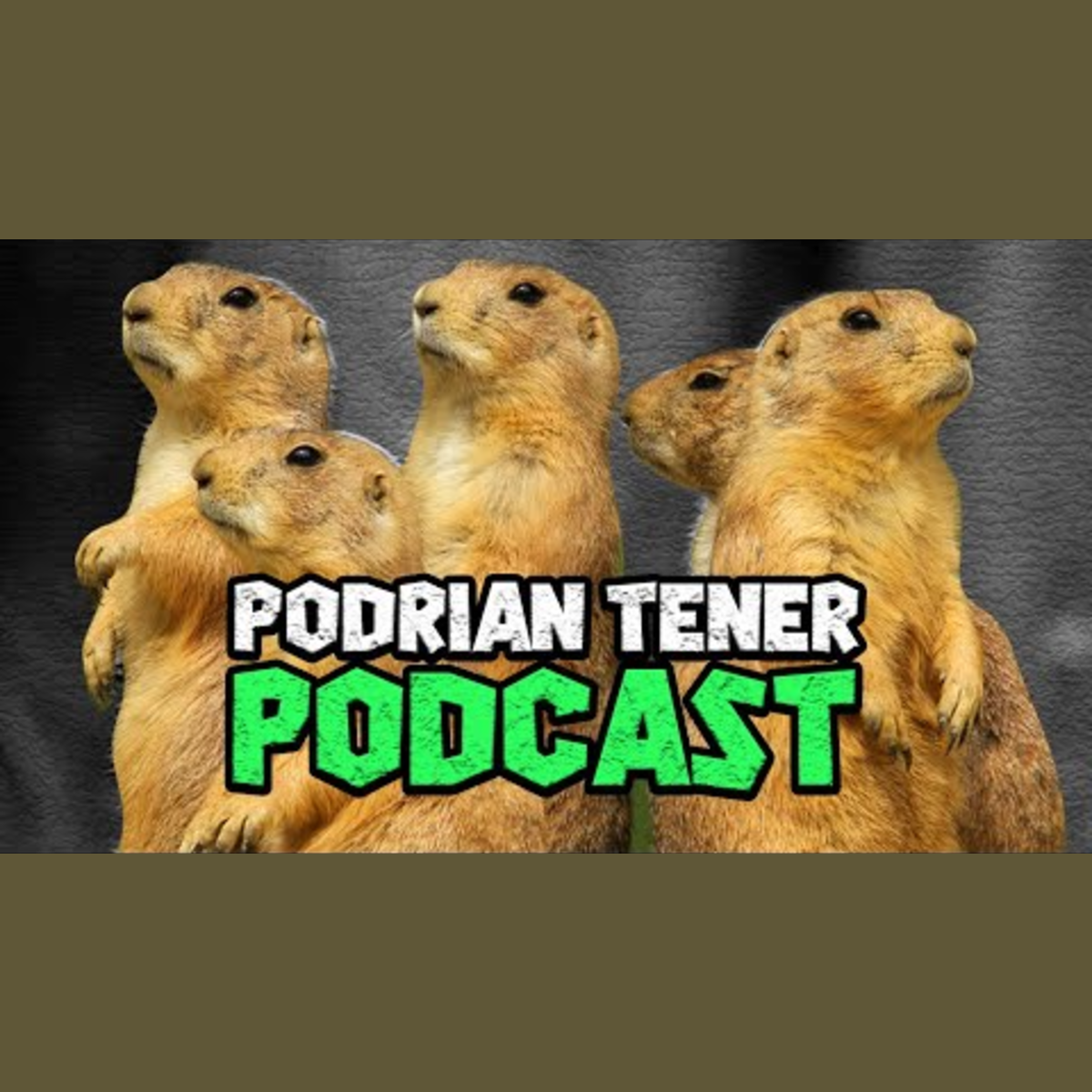 Animalogic En Español