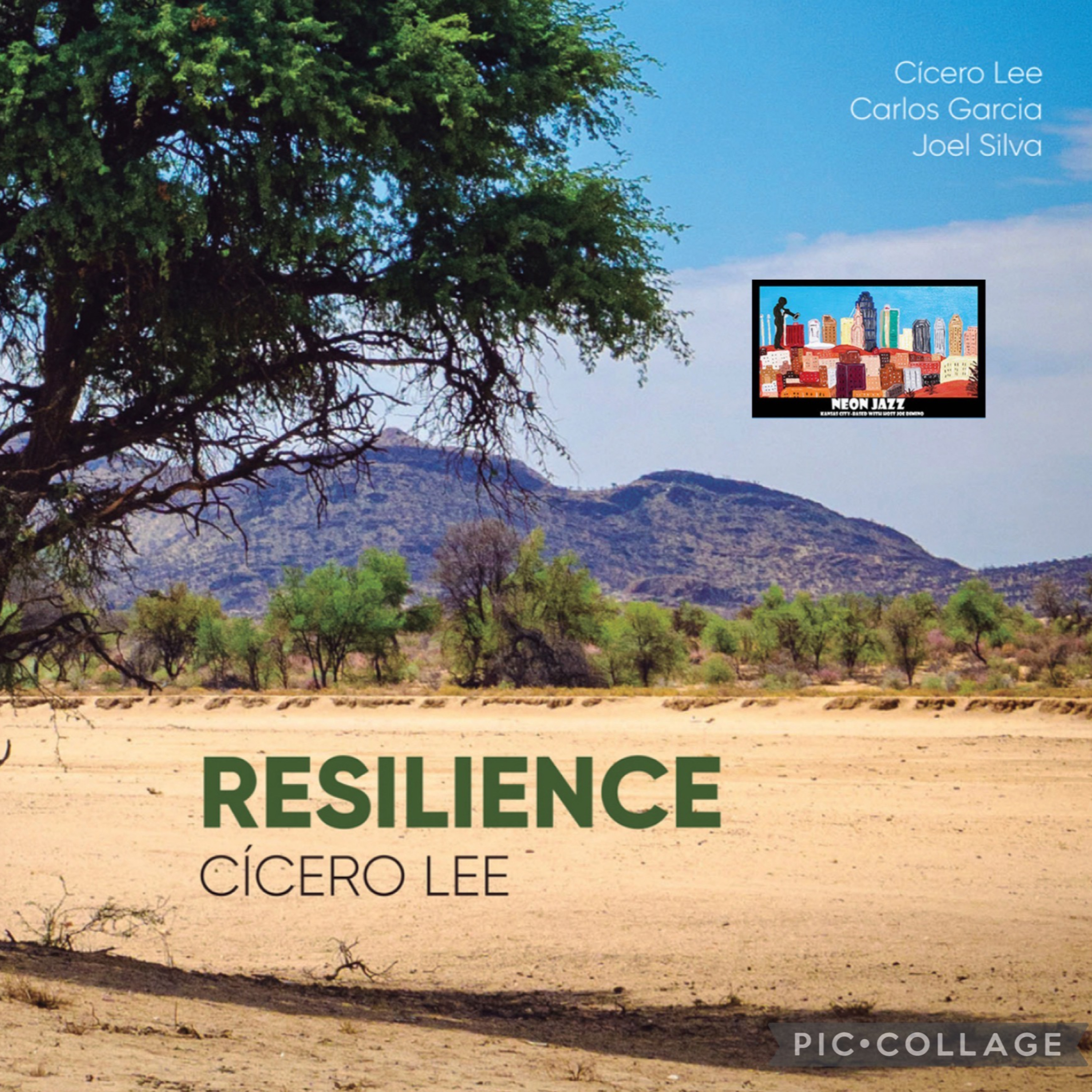 Portugal-based Jazz Bassist Cícero Lee episode artwork