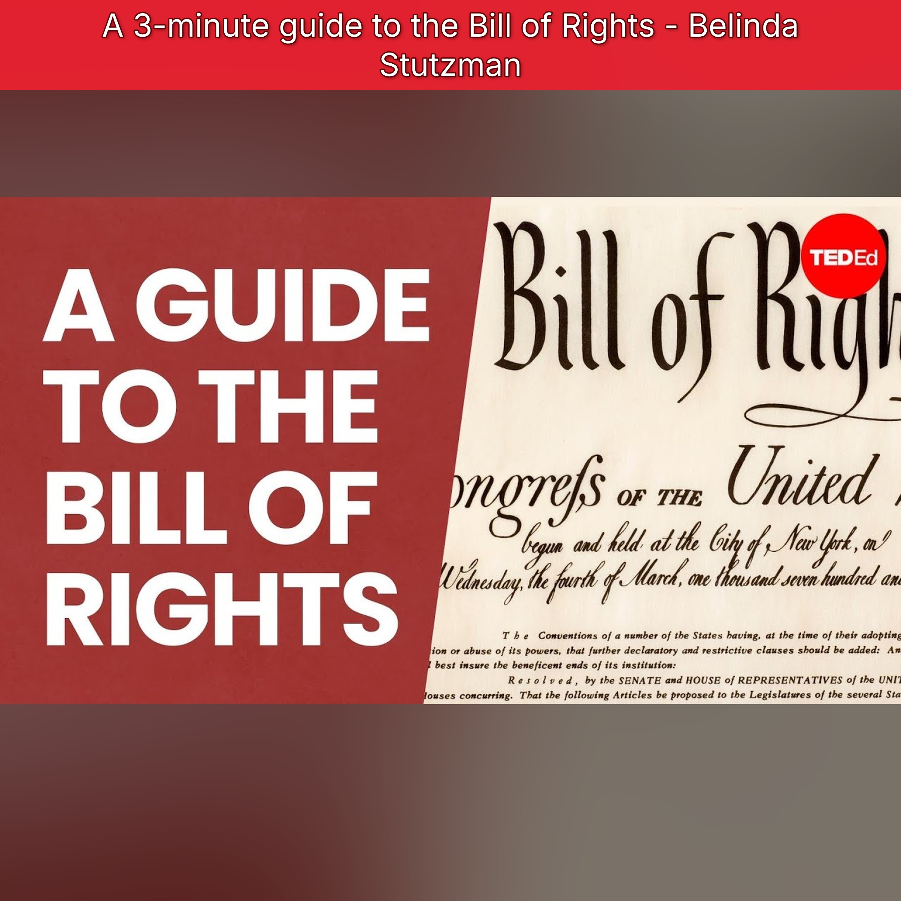 A 3-minute guide to the Bill of Rights - Belinda Stutzman episode artwork