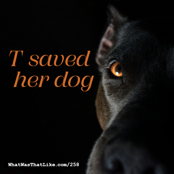 258: T saved her dog