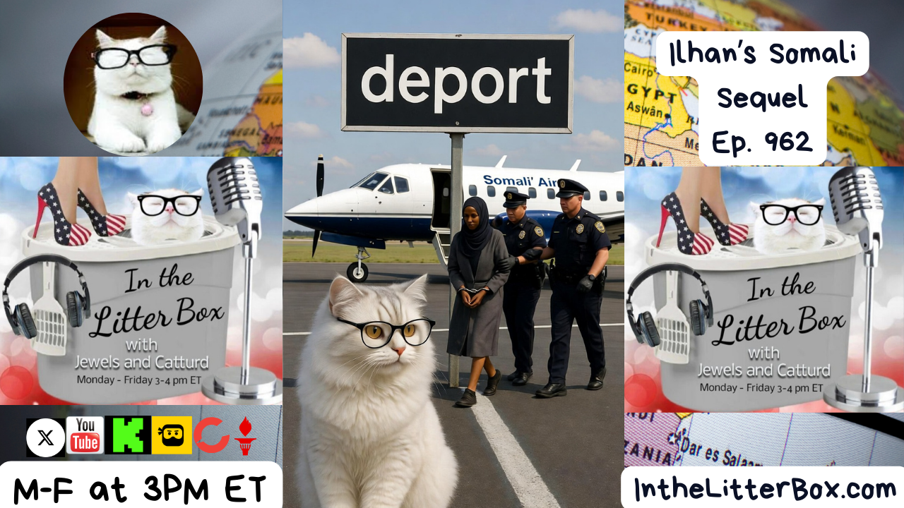 lhan's Somali Sequel | In the Litter Box w/ Jewels Jones & Catturd – Ep. 962 – 2/2/2026
