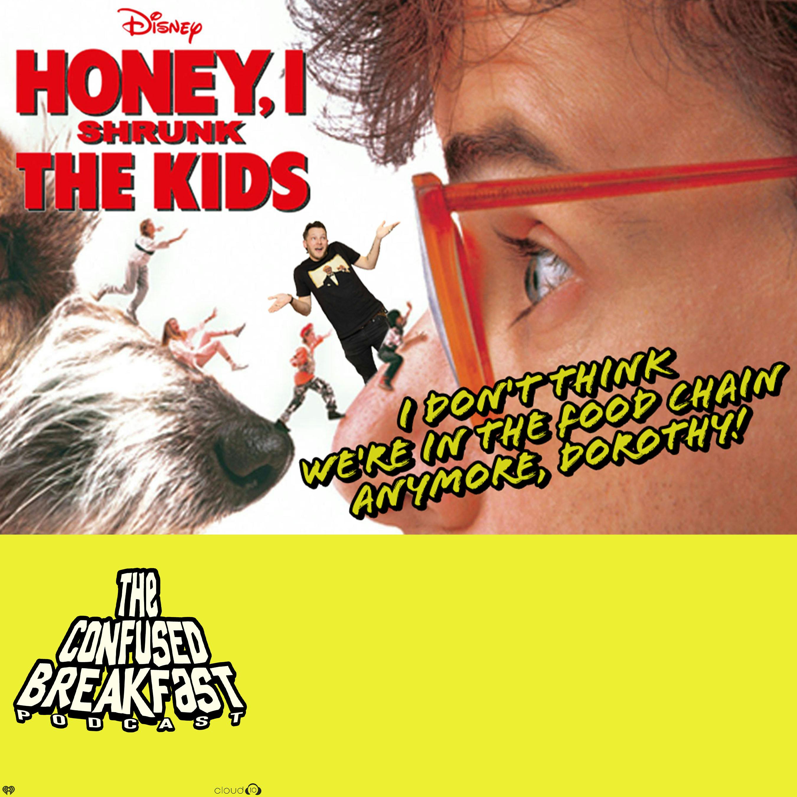 Honey, I Shrunk The Kids (1989)