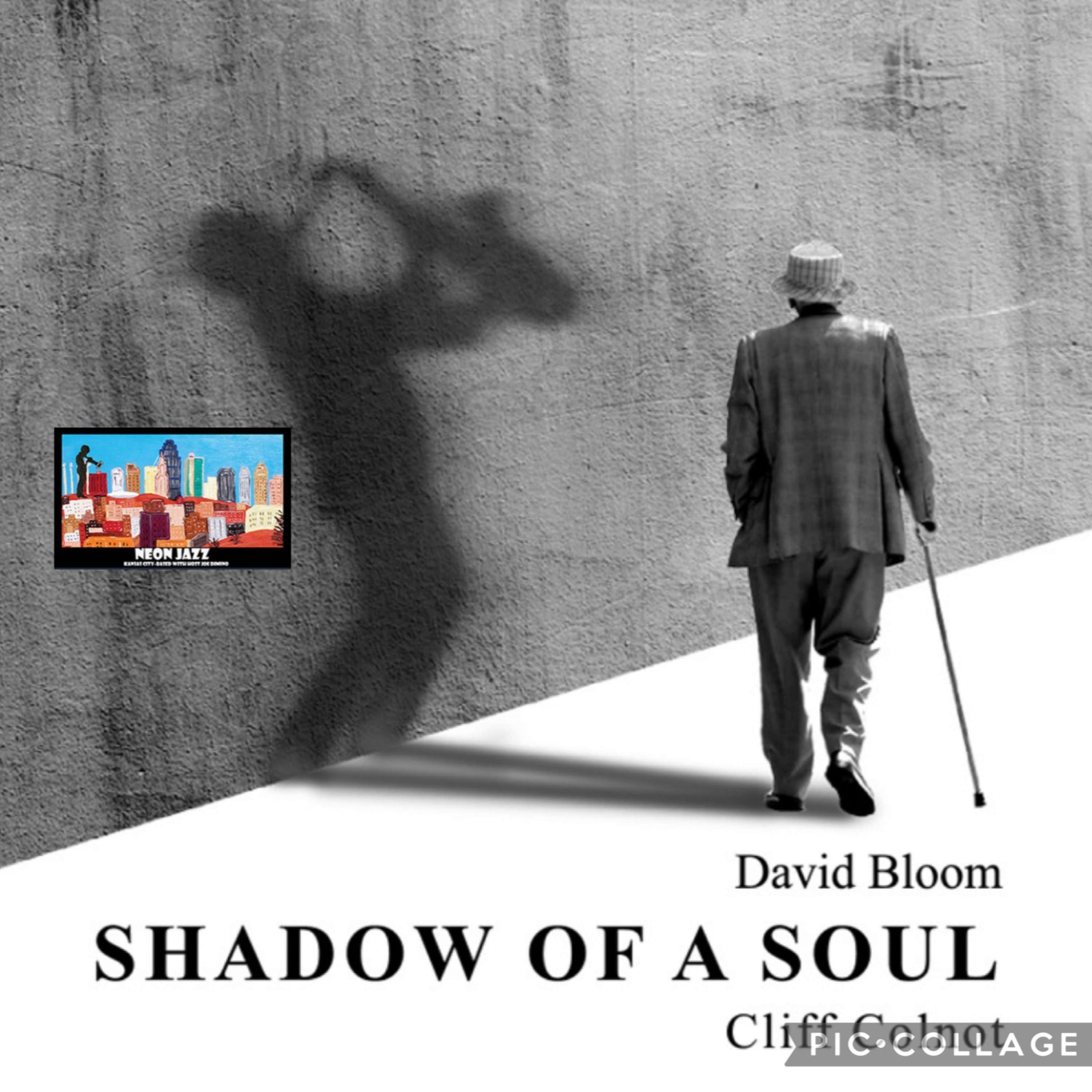 Veteran Chicago Jazz Guitarist & Gifted Educator David Bloom episode artwork
