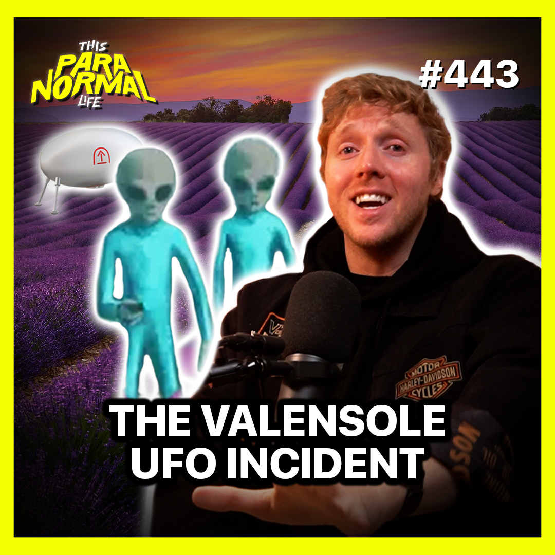 The Valensole UFO Incident - France's Roswell