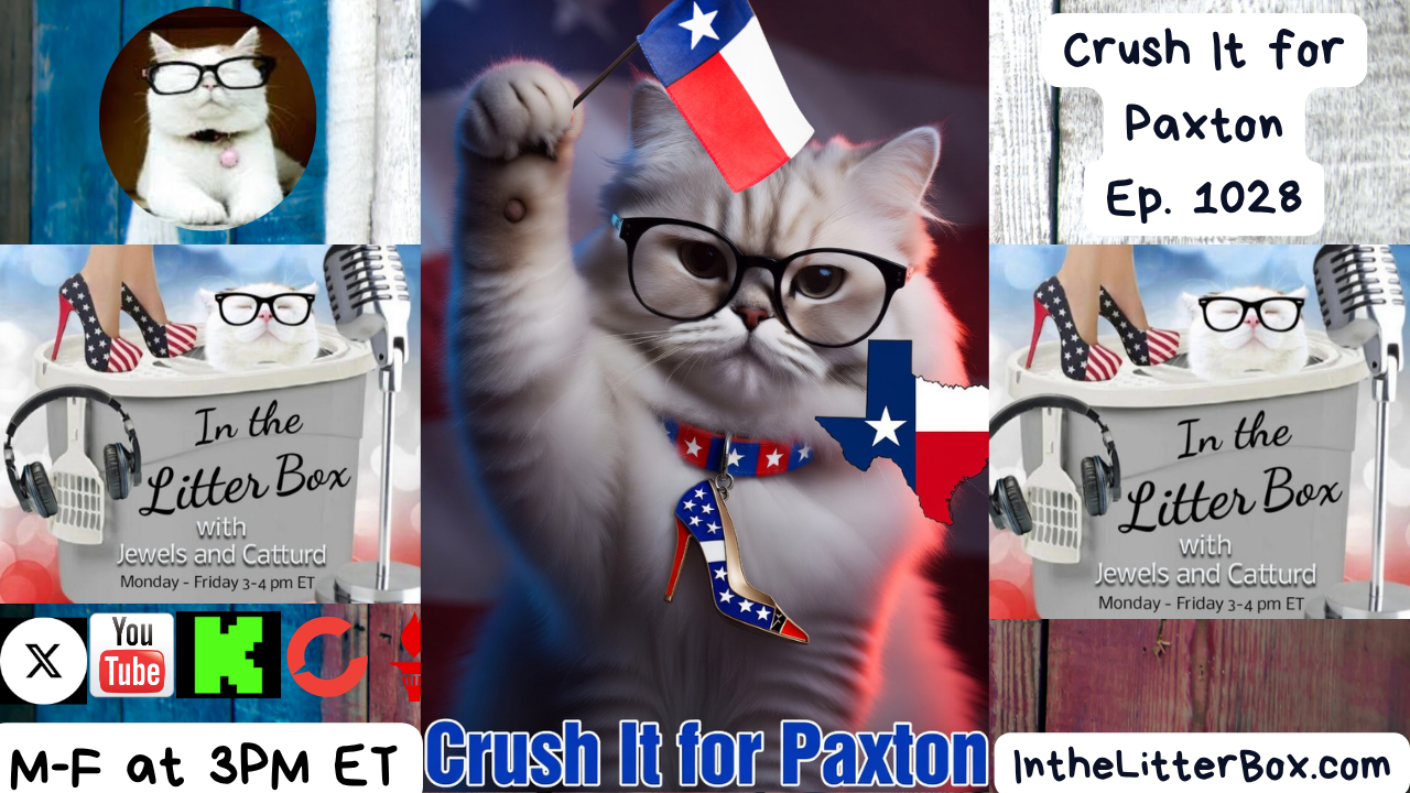 Crush It for Paxton | In the Litter Box w/ Jewels Jones & Catturd – Ep. 1028 5/19/2026