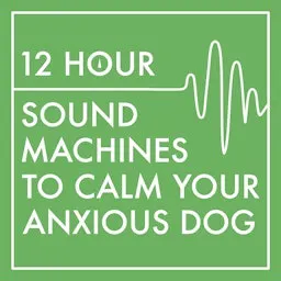 Brown Noise Sound Machine for Dogs (12 Hours) - Reduce Anxiety, Mask Unwanted Sounds, Promote Restful Sleep episode artwork