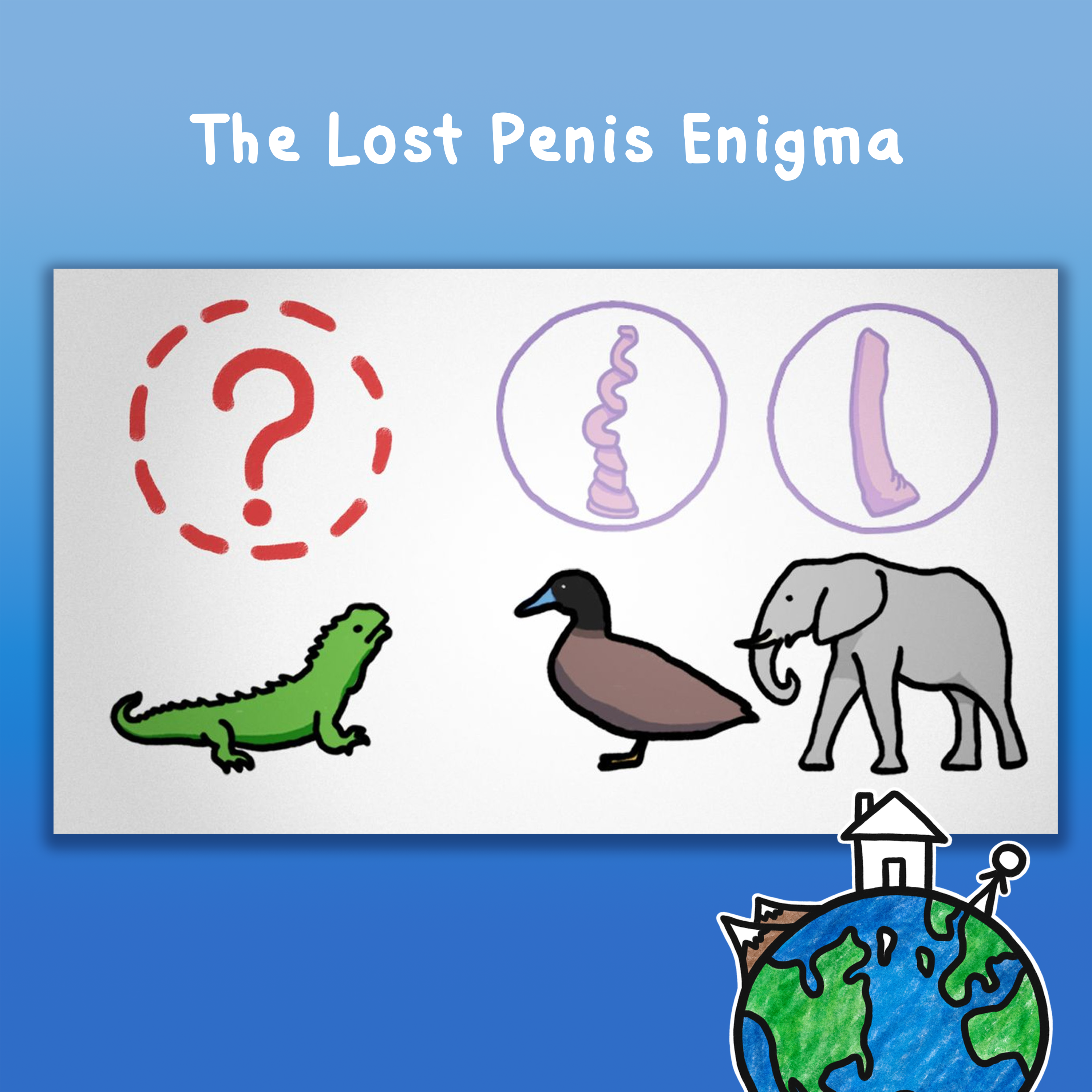 The Lost Penis Enigma