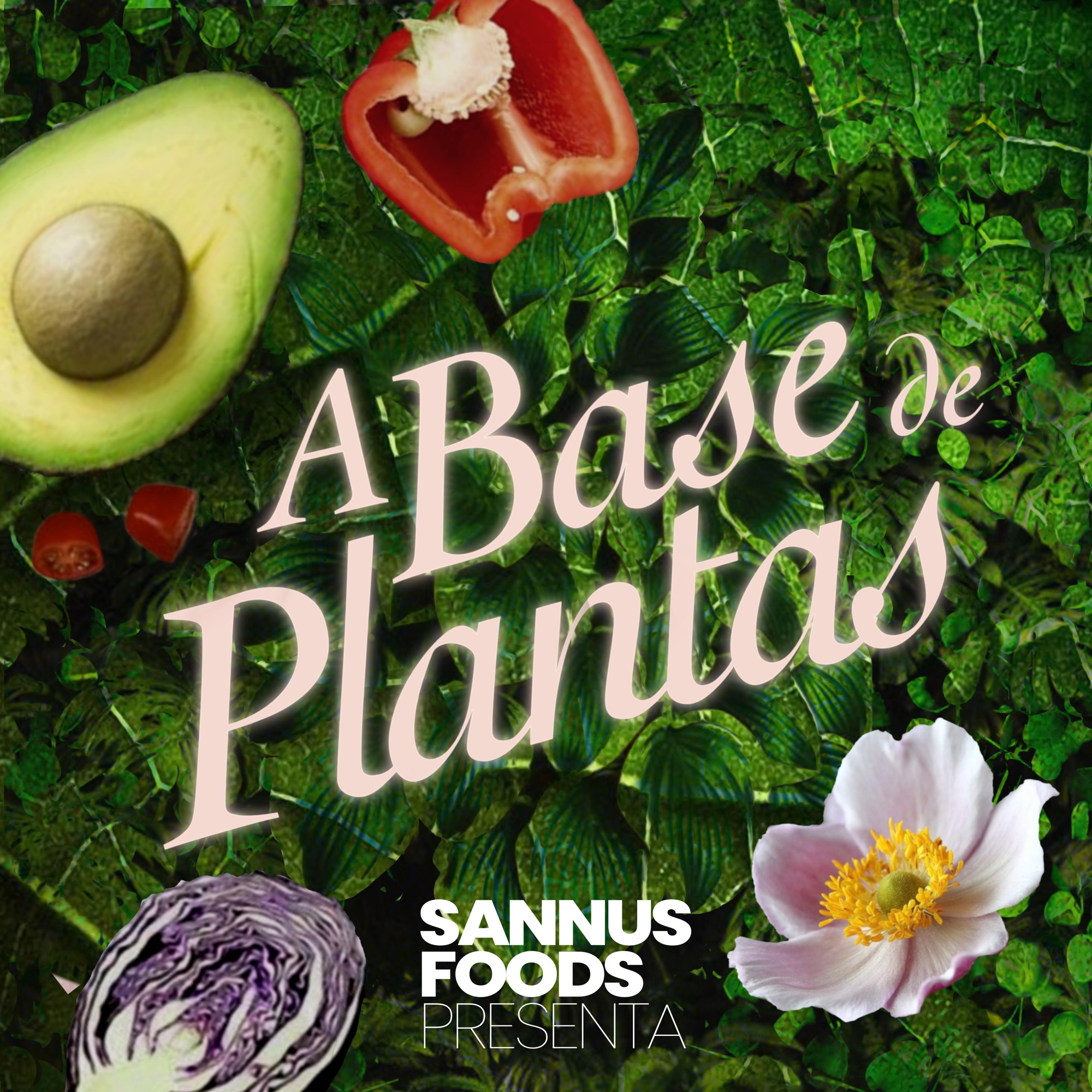 Alternativas a los lácteos - Tomás y María de Bodai