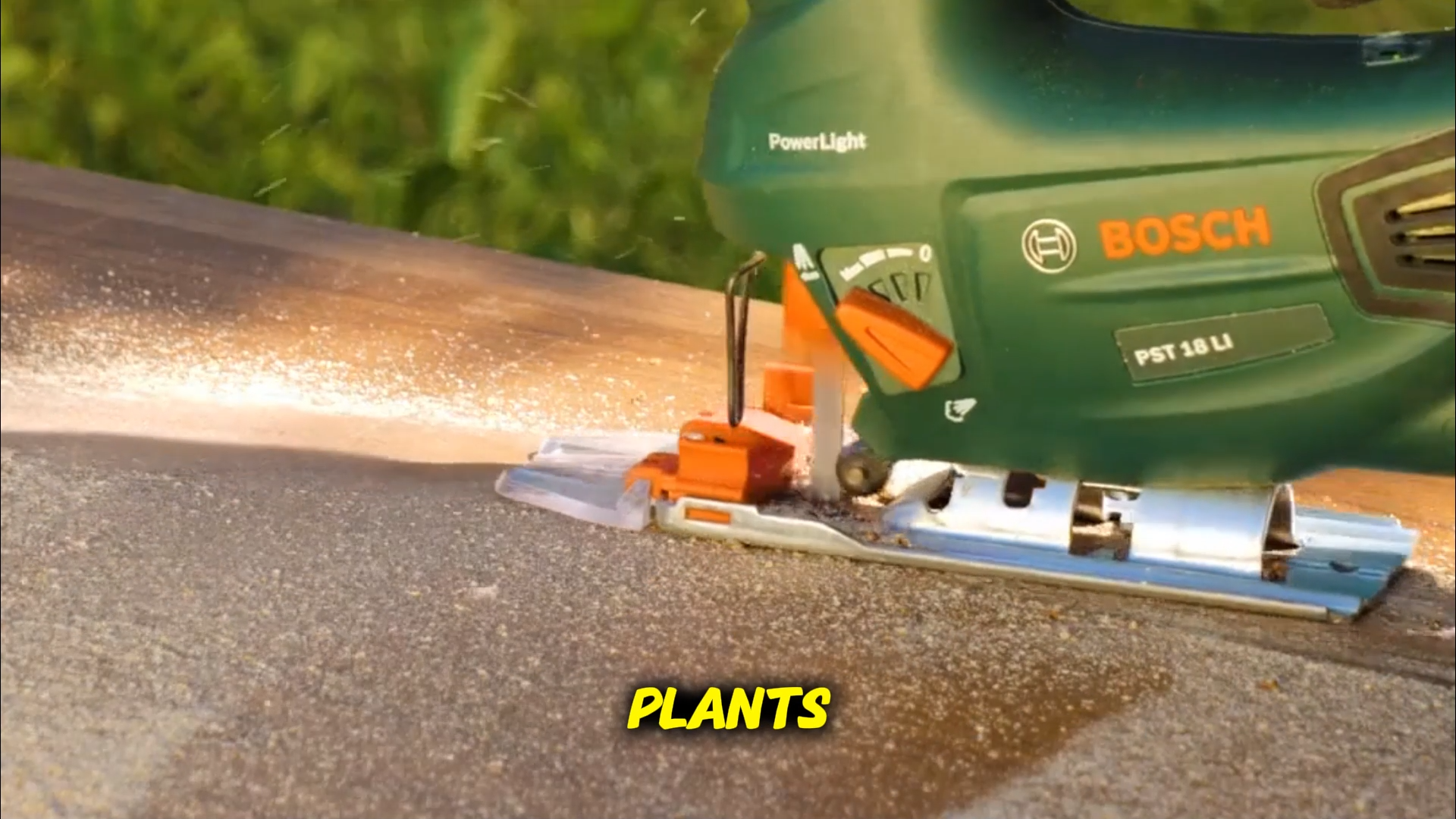 Smart Garden Hacks 🌿 Year-Round Protection and Plant Care Tips! episode artwork