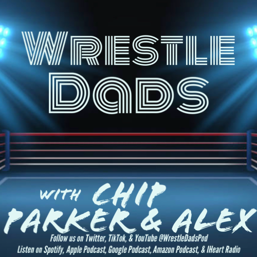 Episode 35 - Elimination Chamber Fallout episode artwork