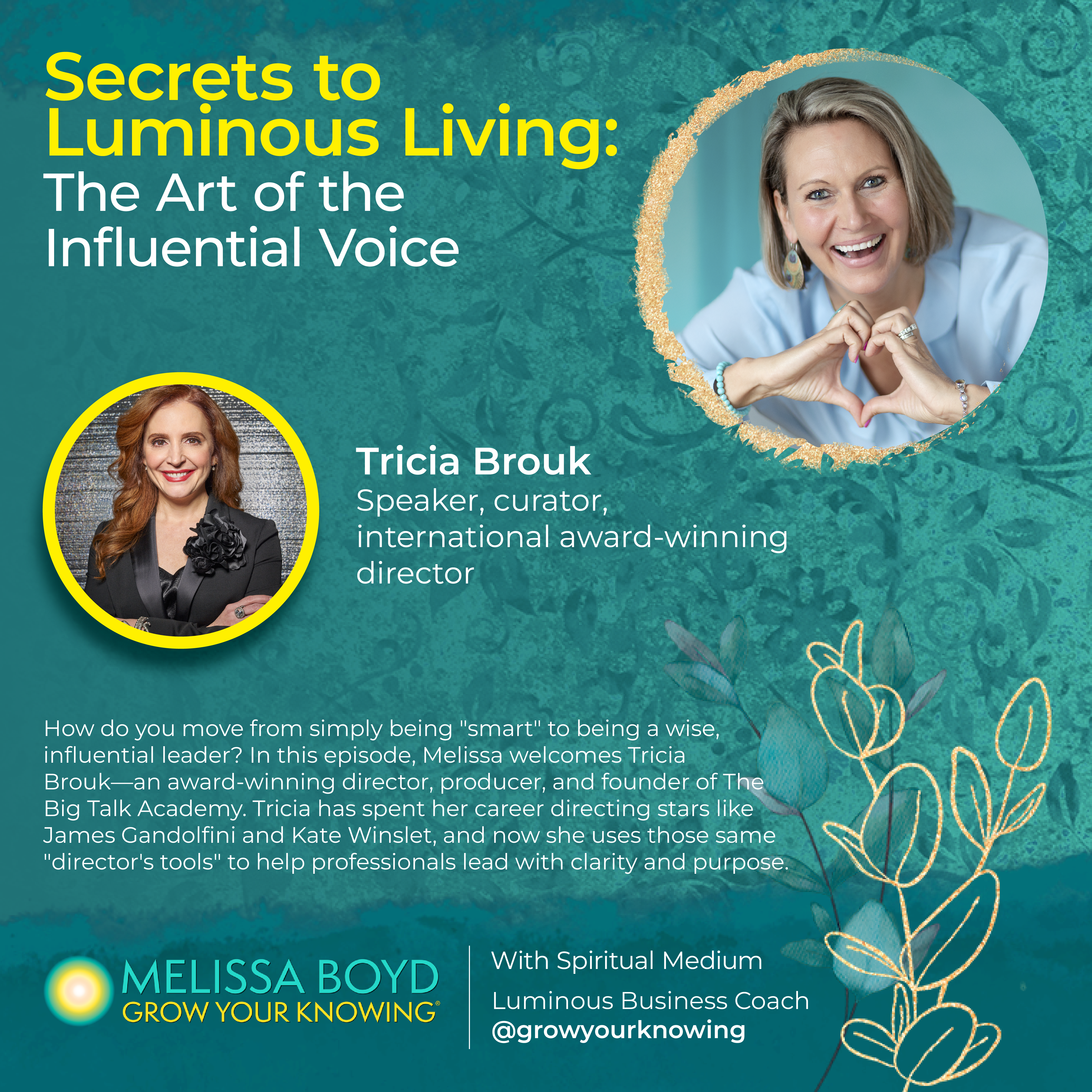 The Art of the Influential Voice: Leadership and Authentic Storytelling with Tricia Brouk episode artwork