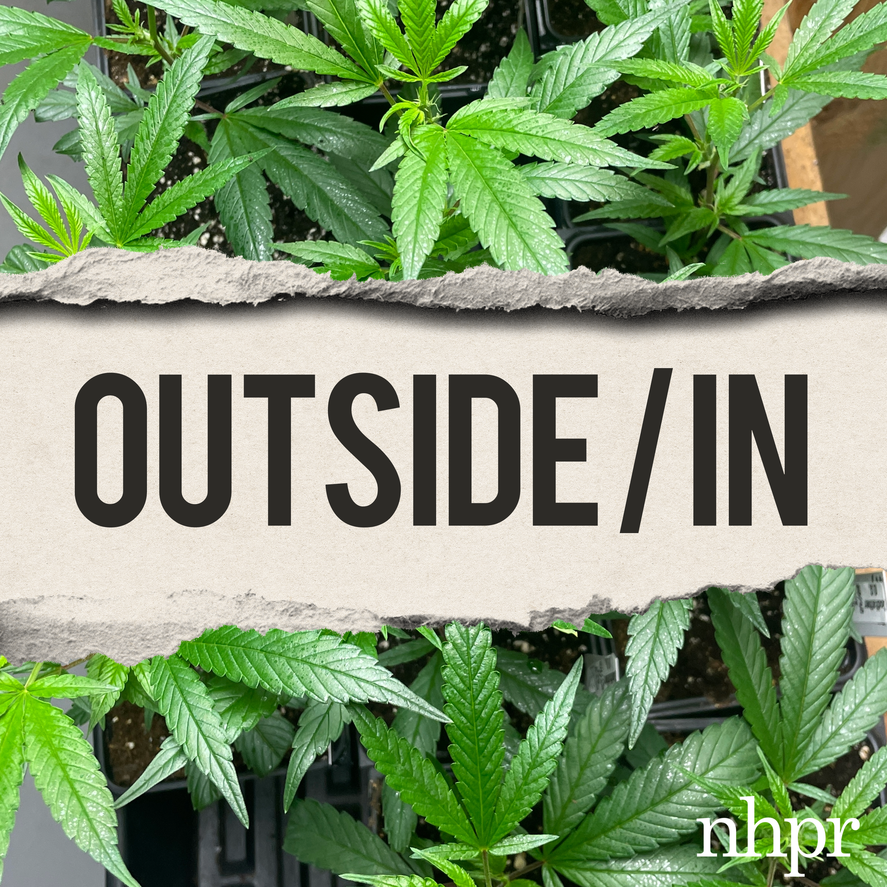 Reefer madness and the future of hemp