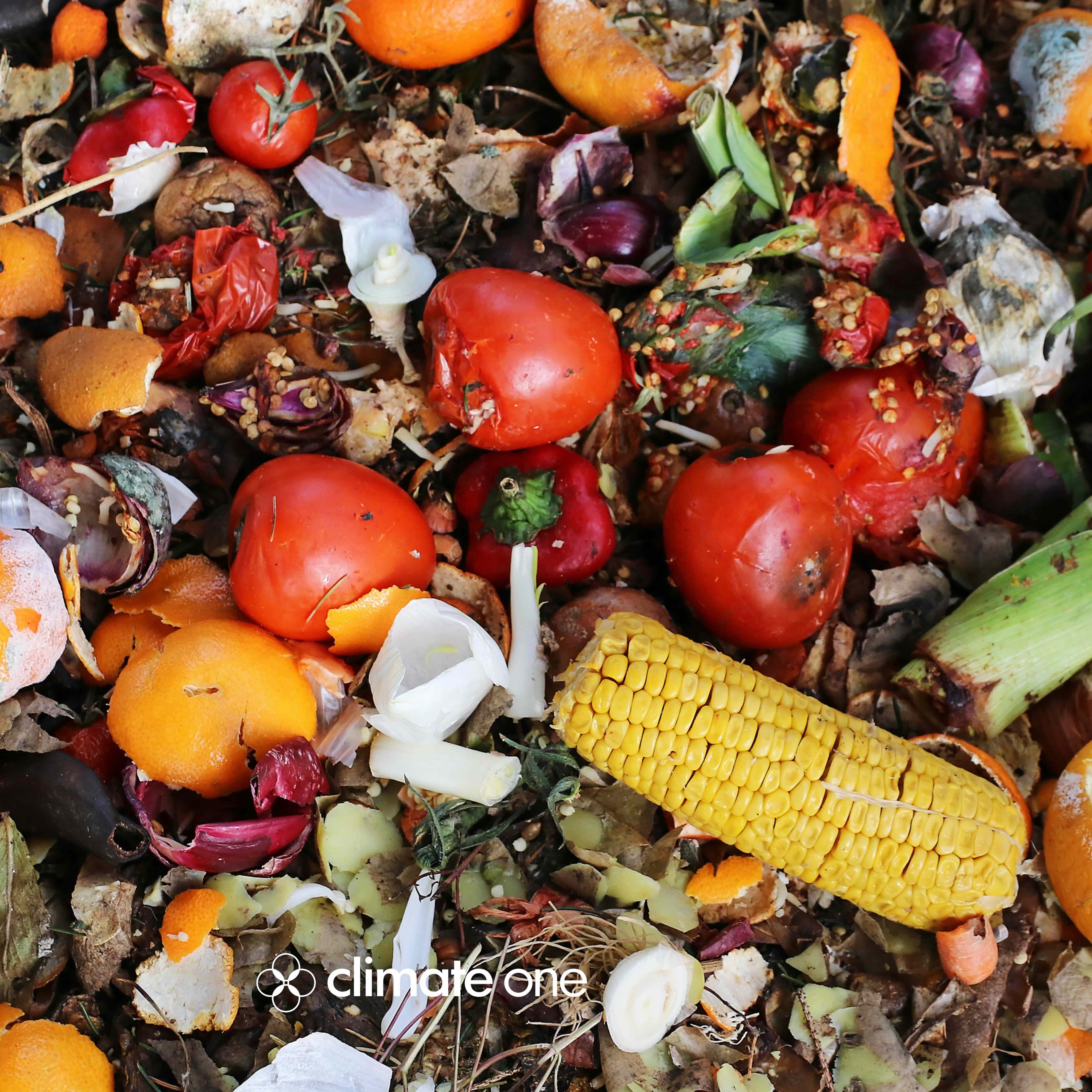 REWND: You Gonna Finish That? Saving Good Food from Going Bad