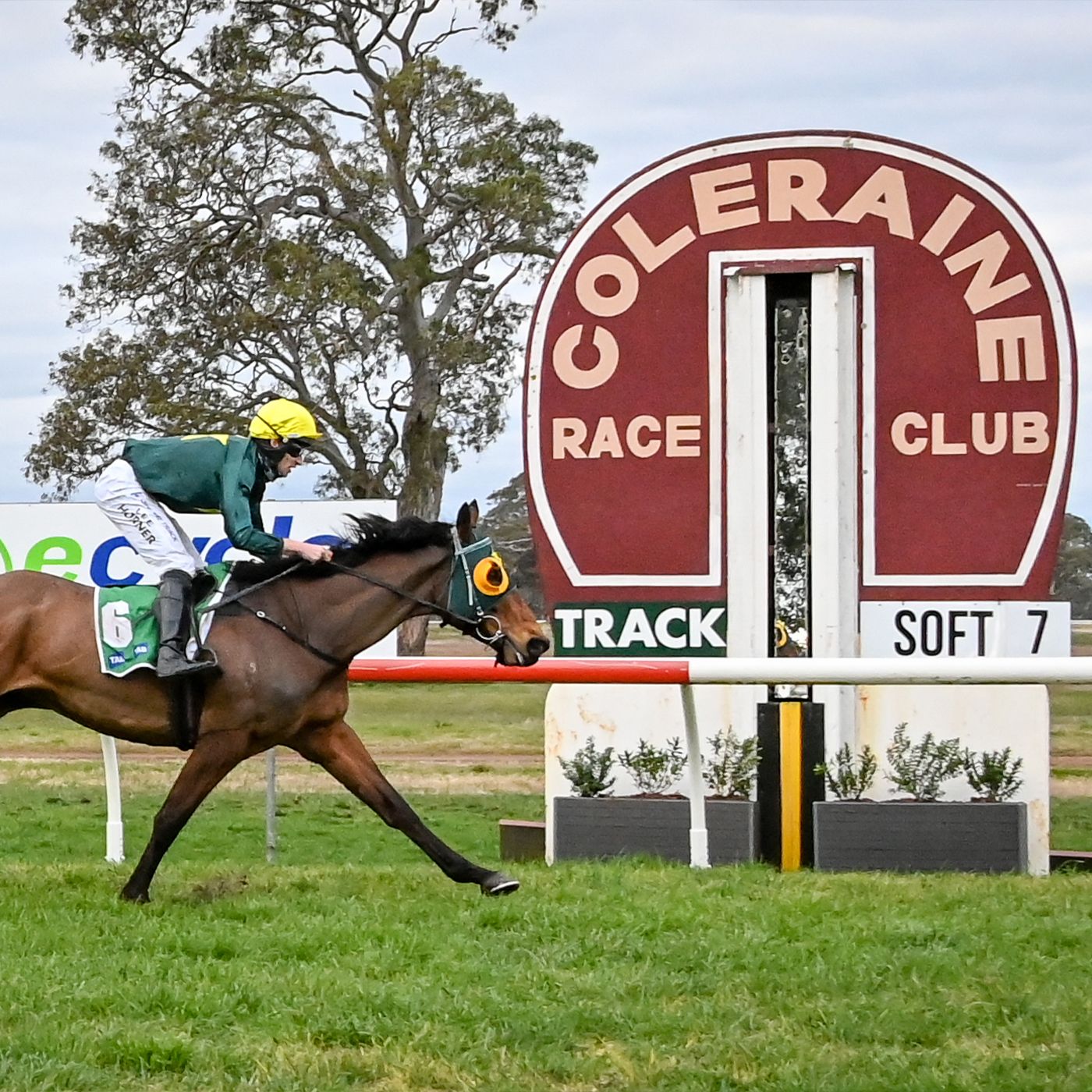 Coleraine RC Elle Guthrie chats to Andrew Kuuse re Coleraine Racing Sunday episode artwork