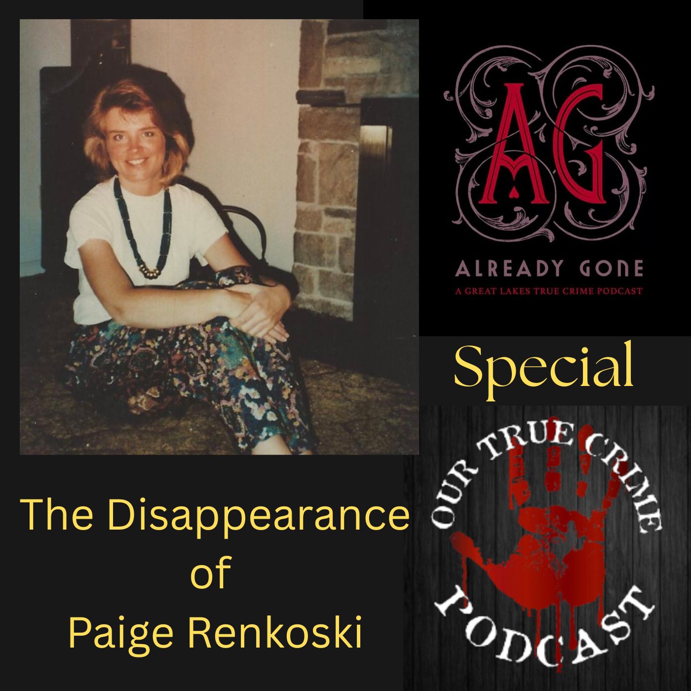 Unsolved: The Disappearance of Paige Renkoski with Nina from Already Gone
