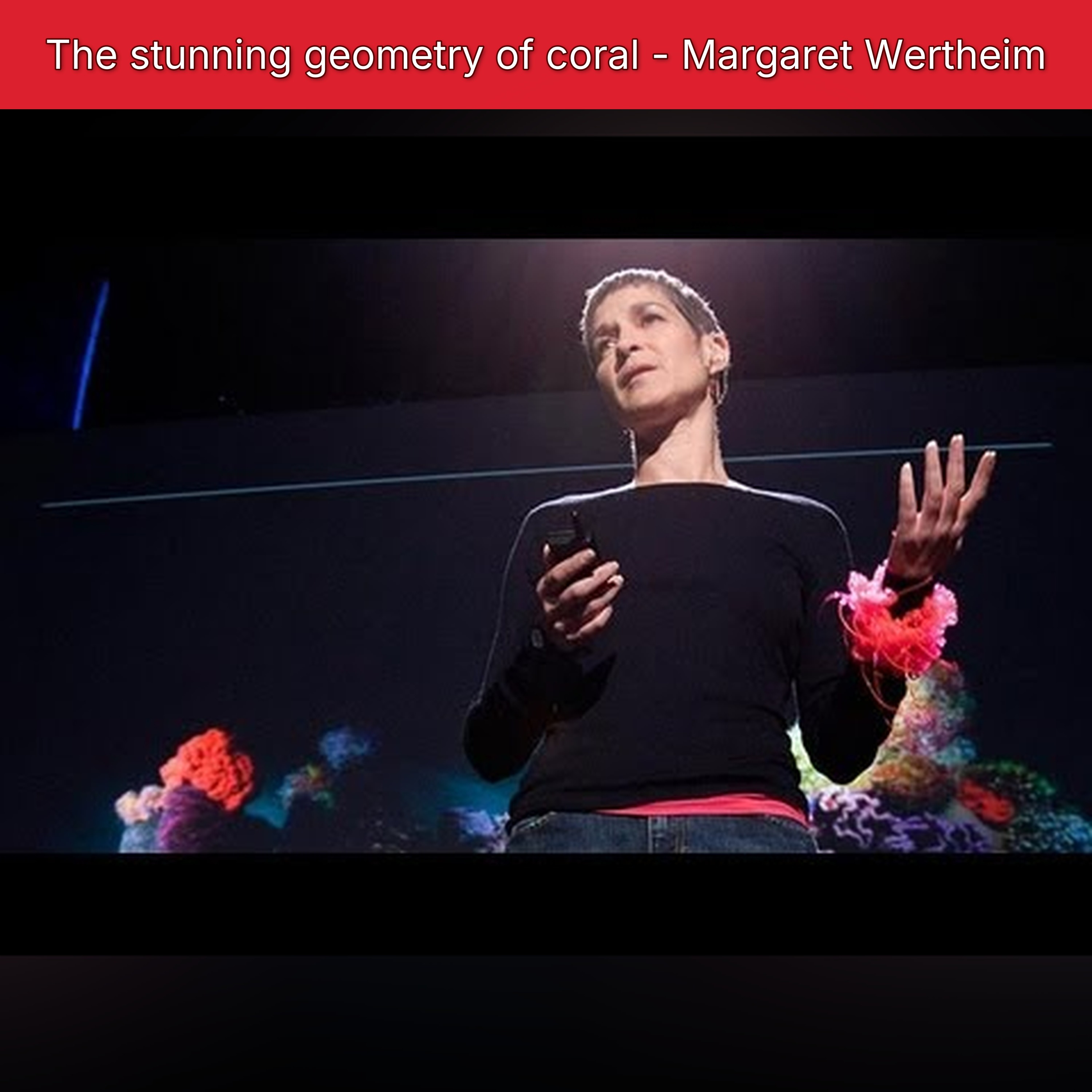 The stunning geometry of coral - Margaret Wertheim episode artwork