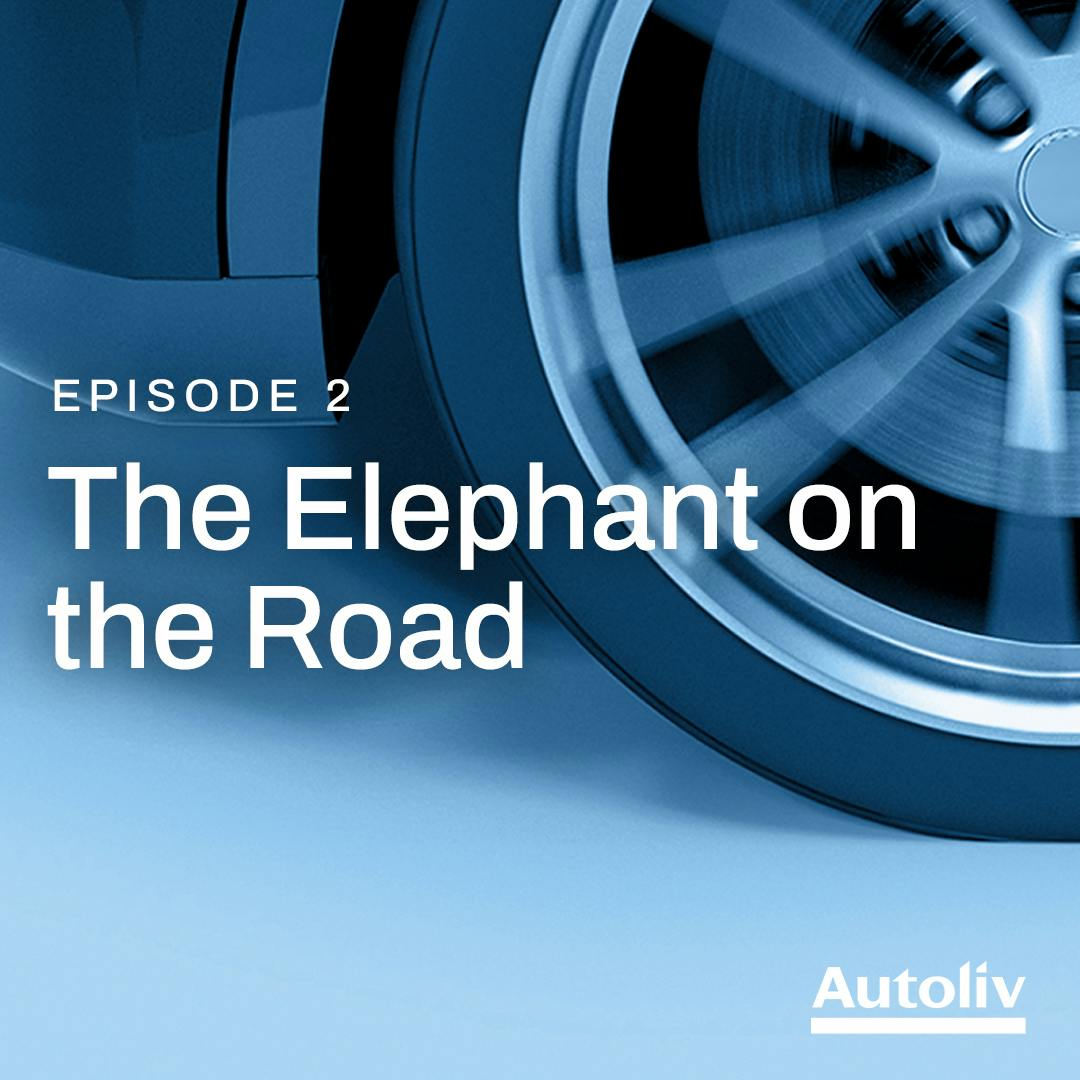 2. The Elephant on the Road
